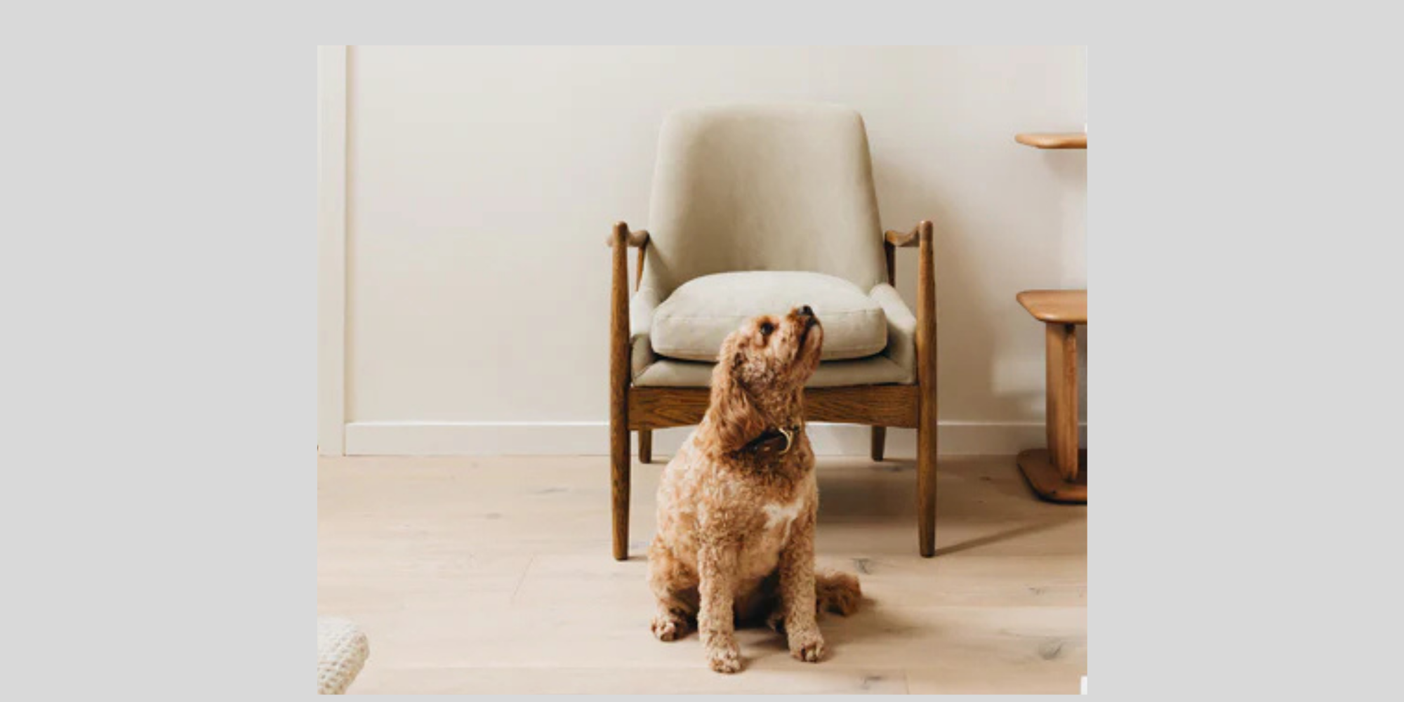 BEDROOM CHAIR | Christchurch | The Best Furniture Shop