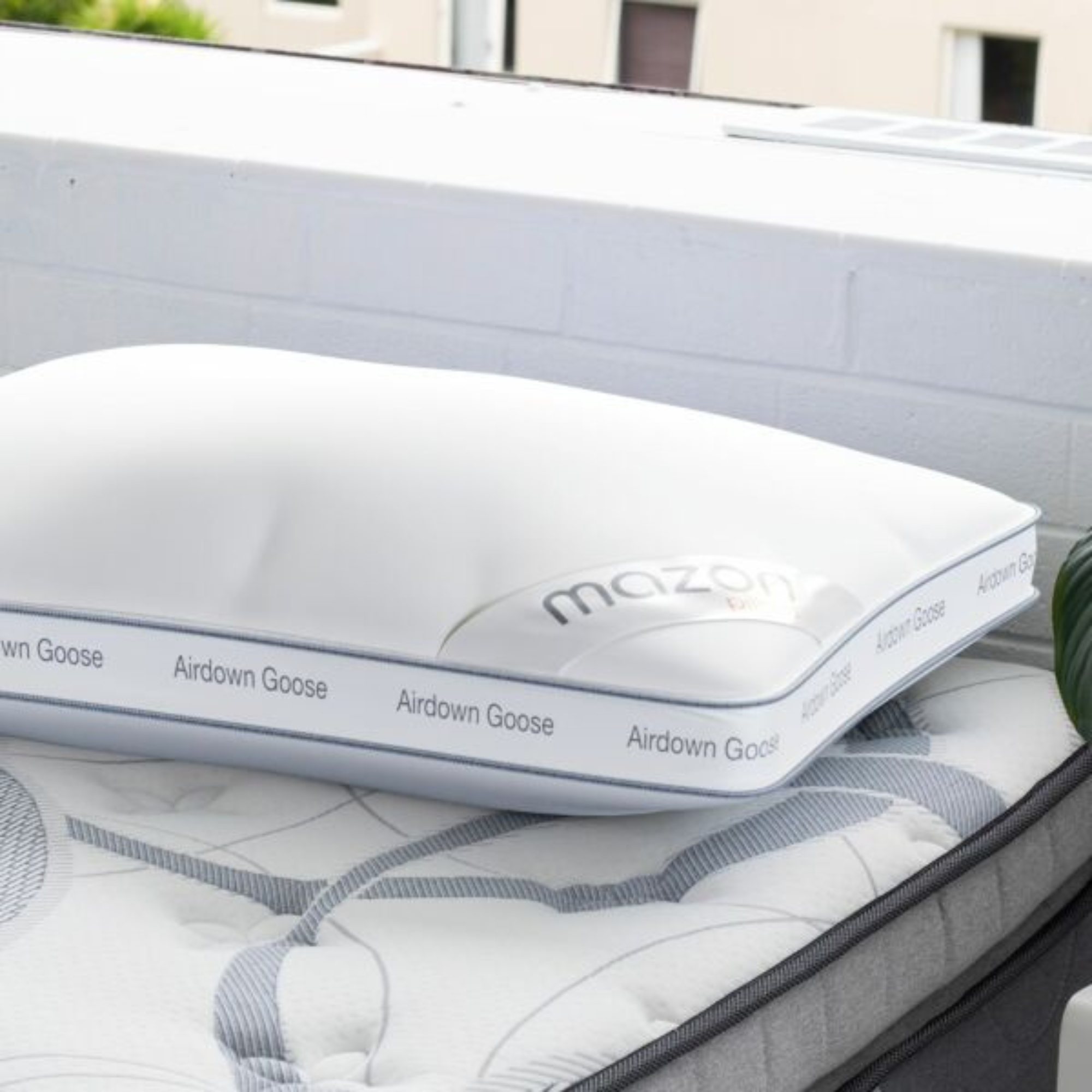 AIRDOWN GOOSE PILLOW