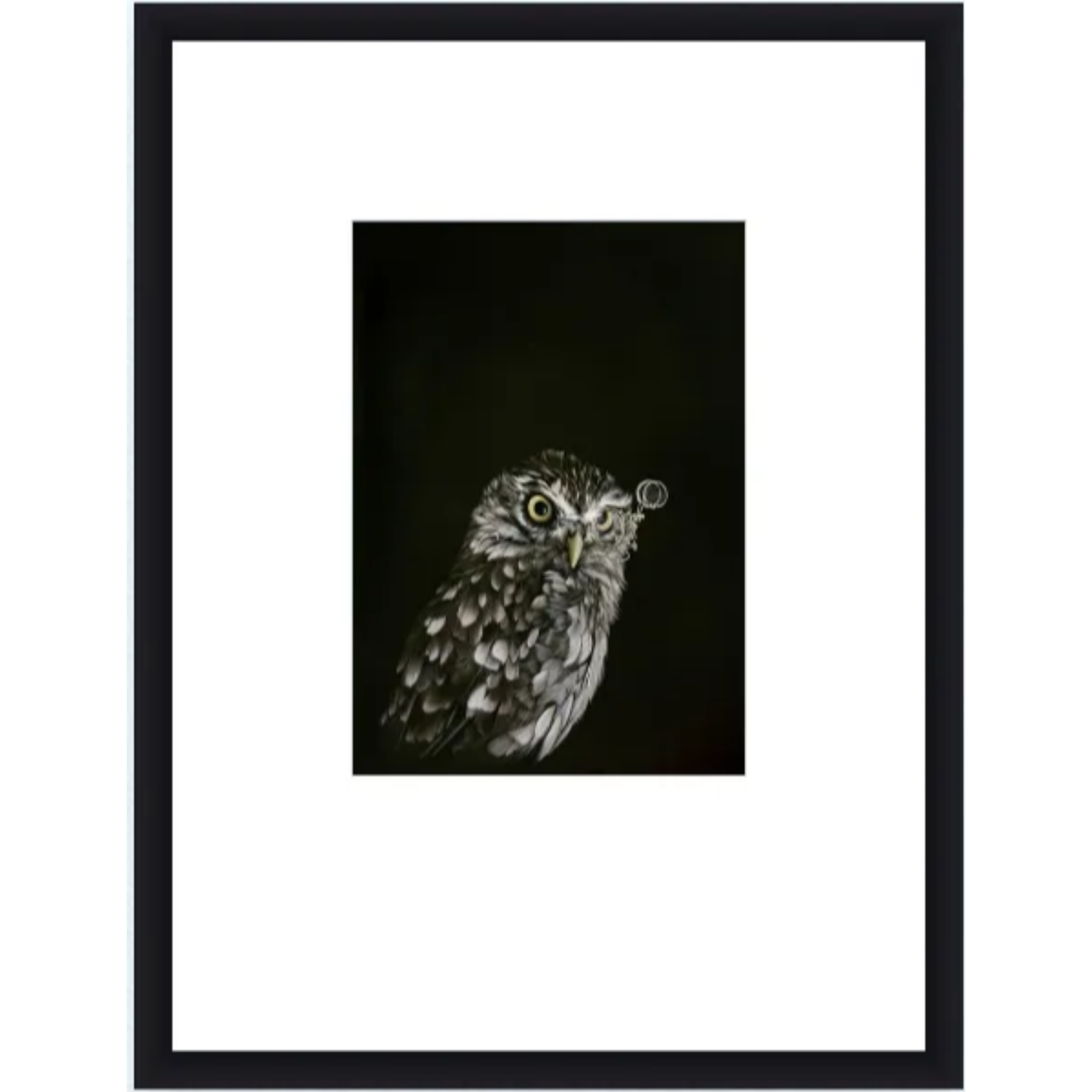 CAPTAIN HOOTER | CONTEMPORARY FRAME WITH GLASS | JANE CRISP | NZ MADE