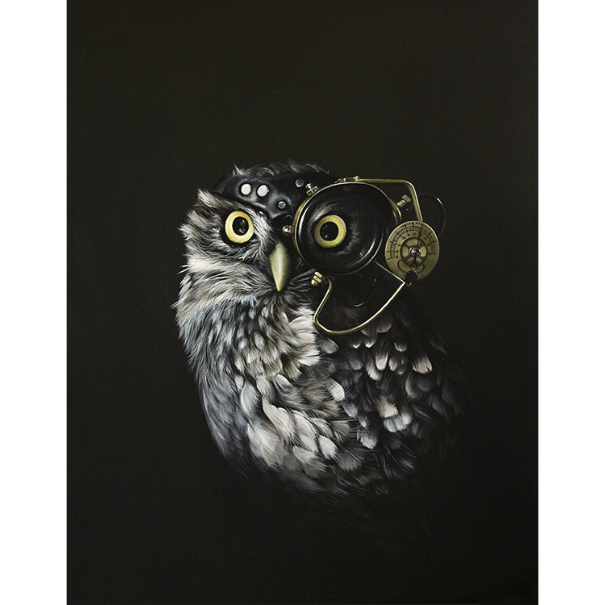 CAPTAIN HOOTER'S MATE | CONTEMPORARY FRAME WITH GLASS | JANE CRISP | NZ MADE