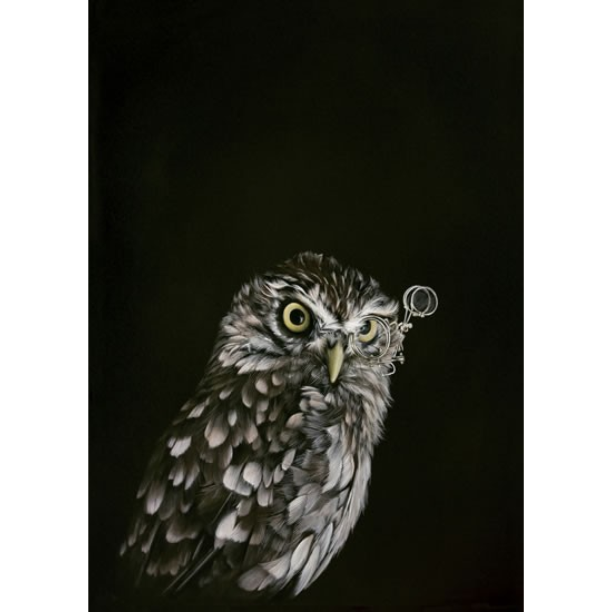 CAPTAIN HOOTER | CONTEMPORARY FRAME WITH GLASS | JANE CRISP | NZ MADE