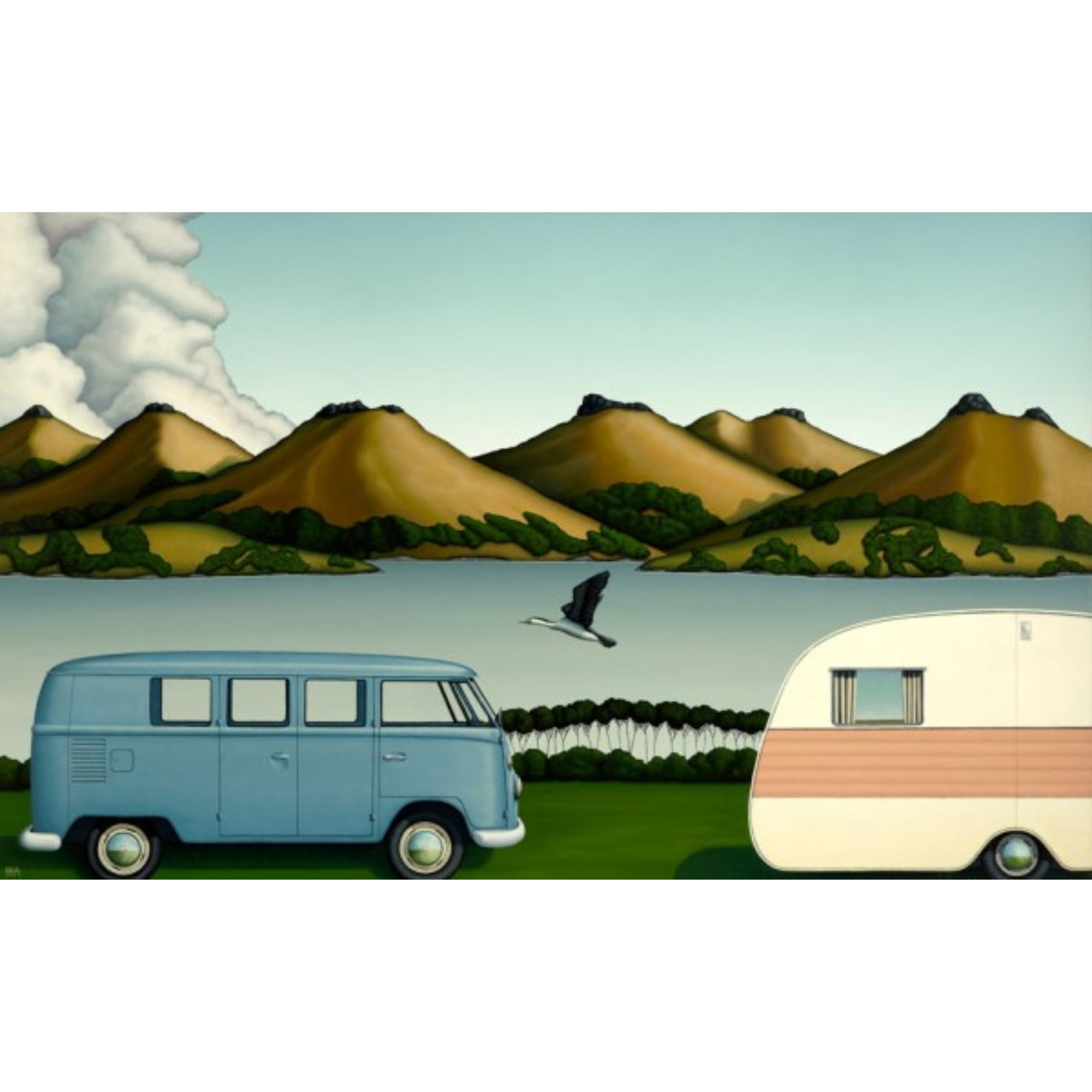 EVOLUTION 1200cc | BOX FRAME READY TO HANG | HAMISH ALLAN | NZ MADE