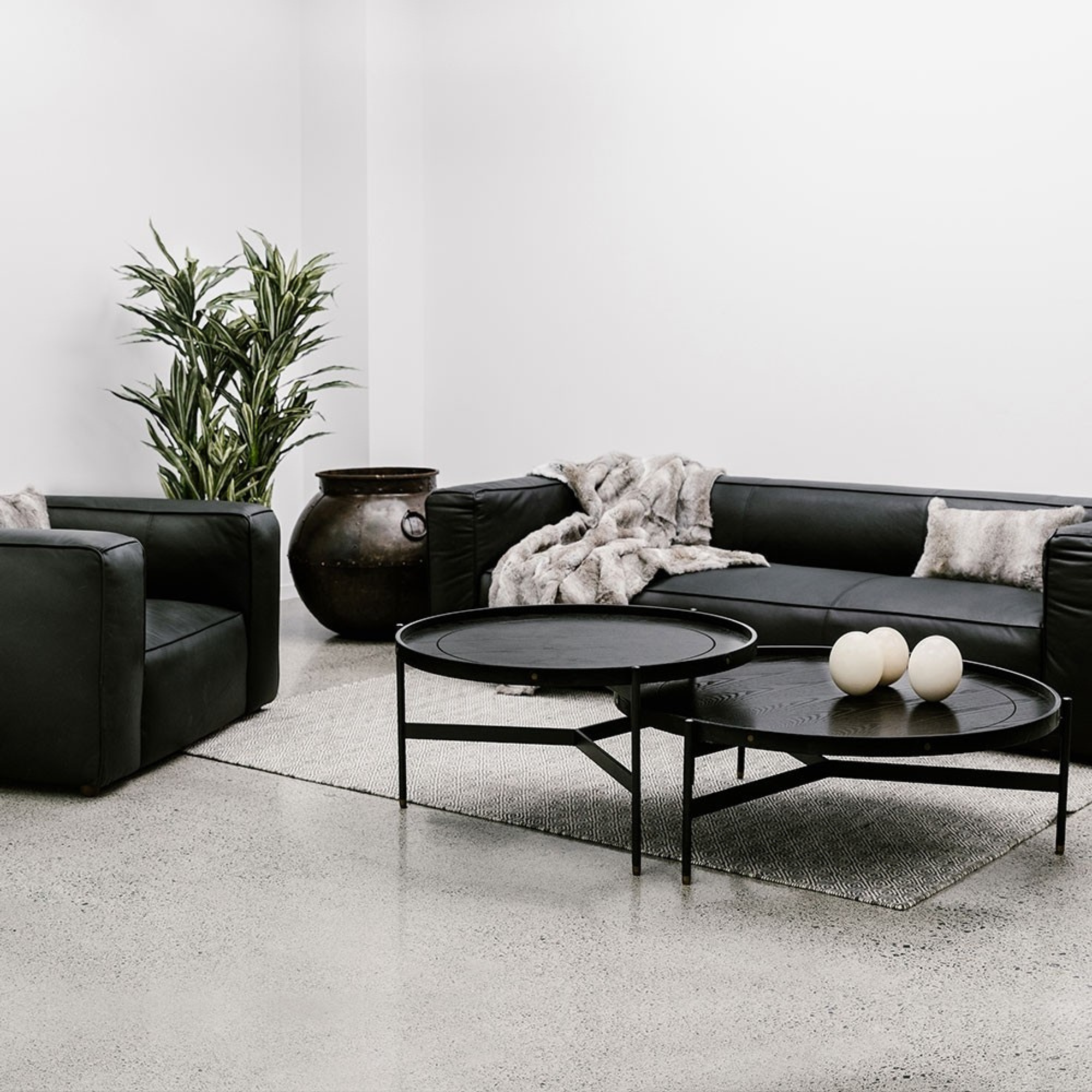 HAYWOOD TALL COFFEE TABLE | BLACK ASH