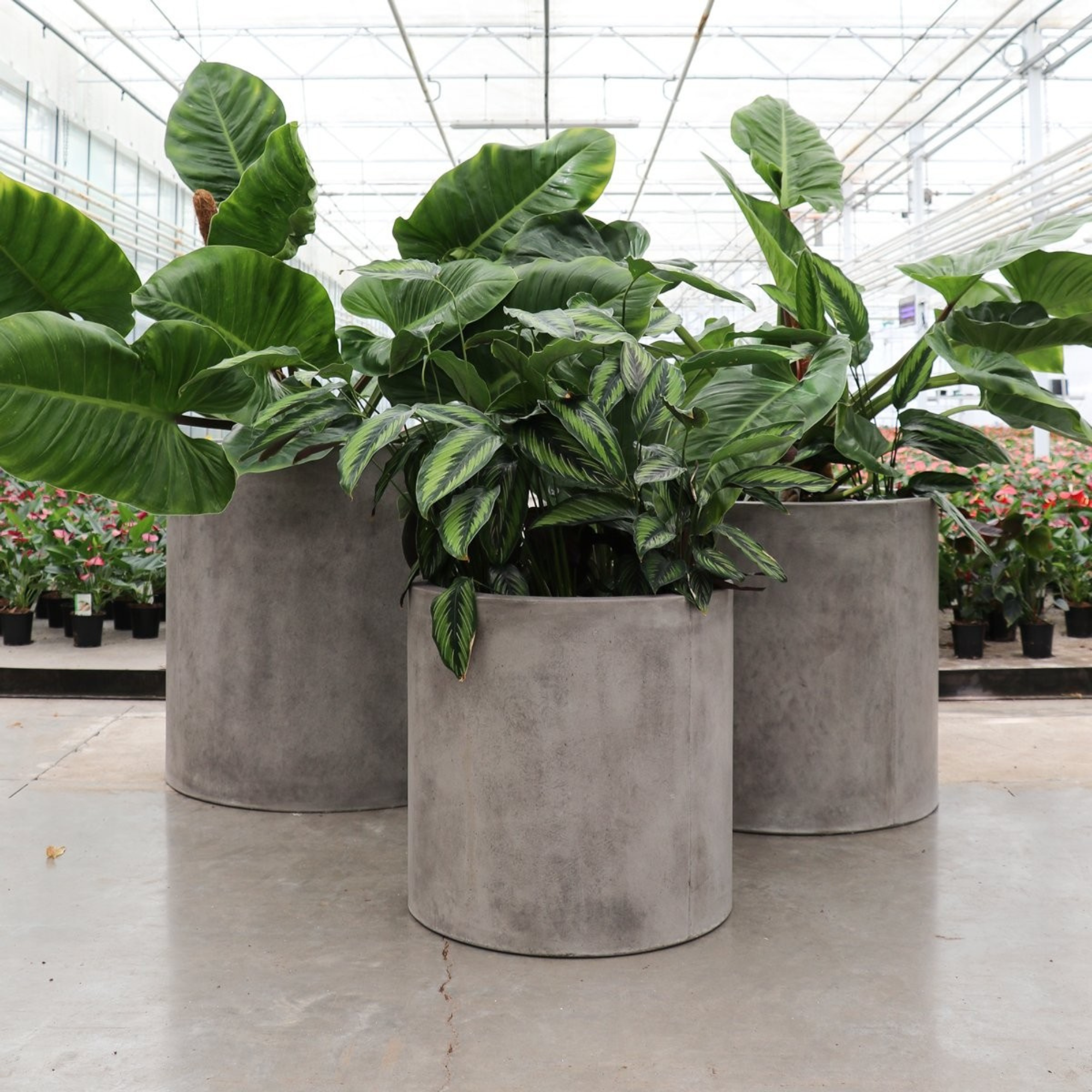 MIKONUI CYLINDER PLANTER | 3 COLOURS & 3 SIZES