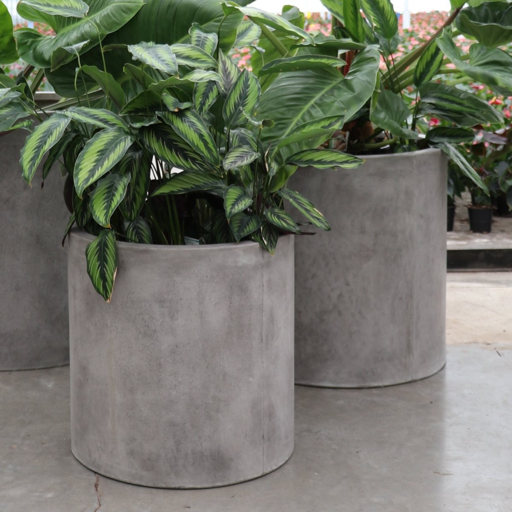 MIKONUI CYLINDER PLANTER | CEMENT | 3 SIZES