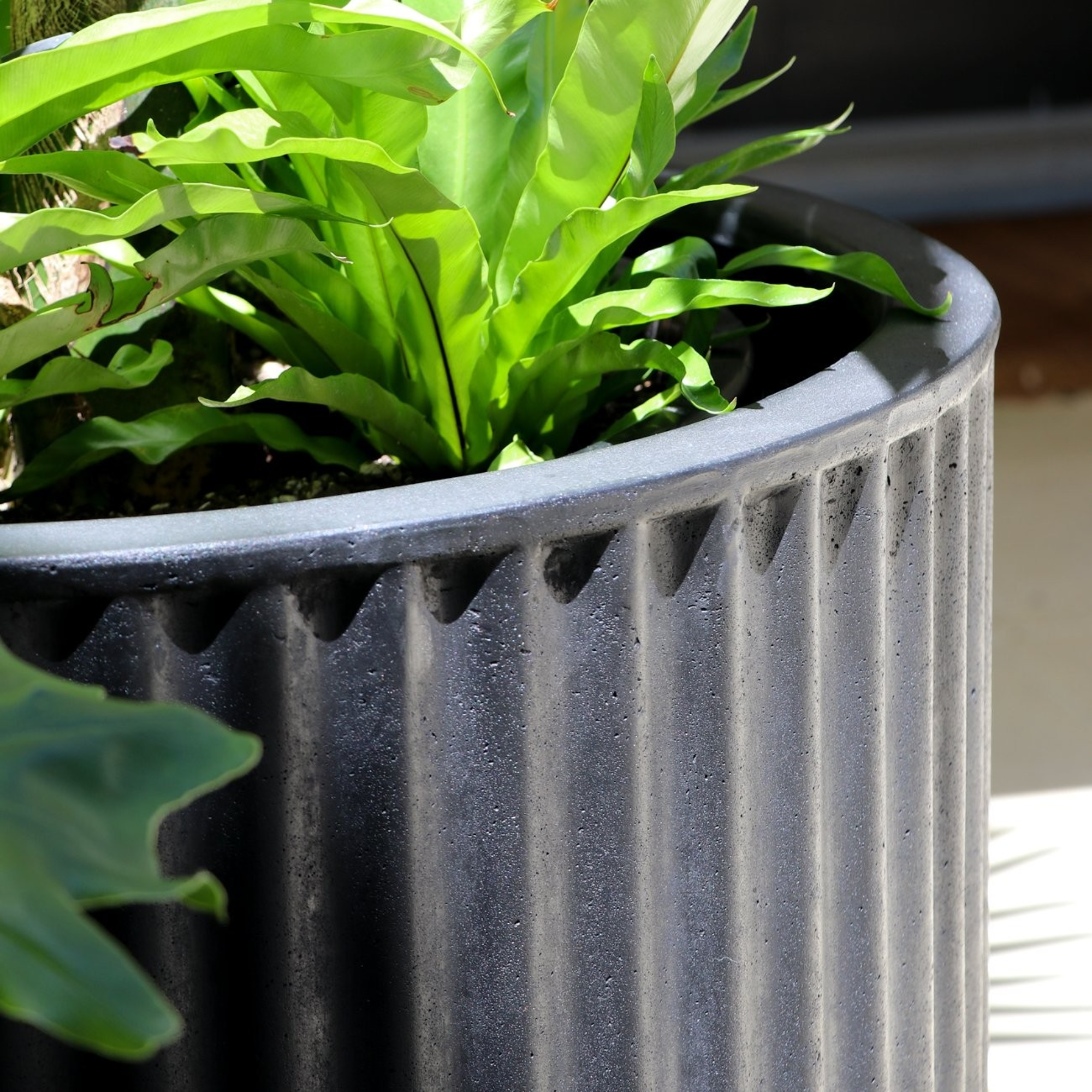 PIAKO RIBBED CYLINDER PLANTER | 3 SIZES | BLACK