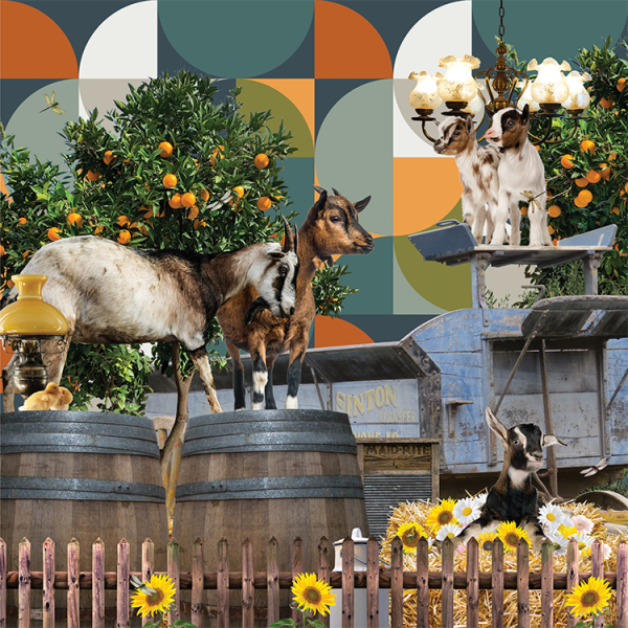 BILLY ESCAPED AGAIN | CANVAS STRETCHED READY TO HANG | SUE SKELLERN | NZ MADE