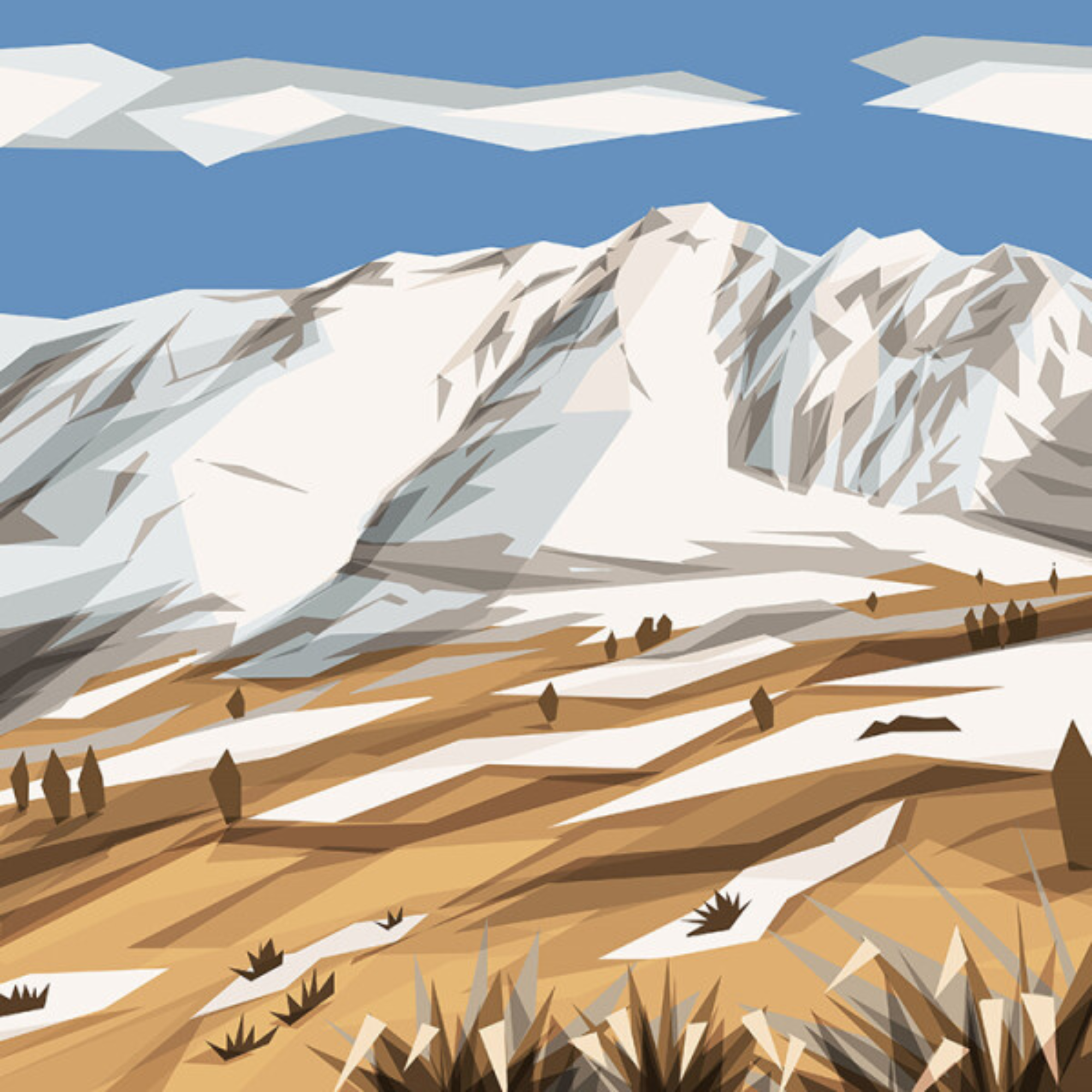CARDRONA | CANVAS STRETCHED READY TO HANG | IRA MITCHELL | NZ MADE