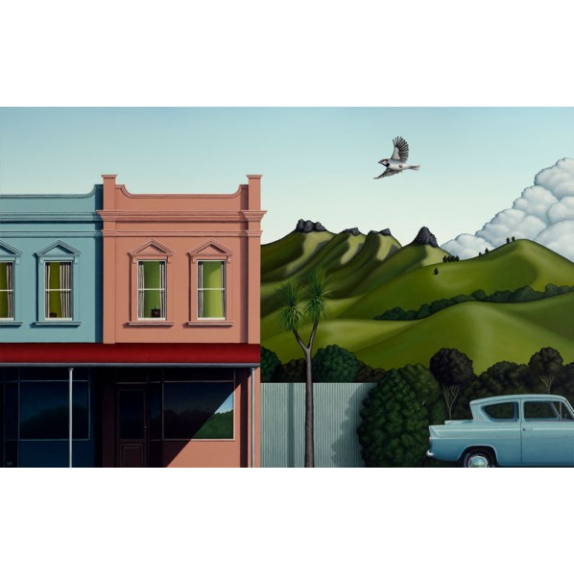 CRATER RIM AND BUILDING | BOX FRAME READY TO HANG | HAMISH ALLAN | NZ MADE