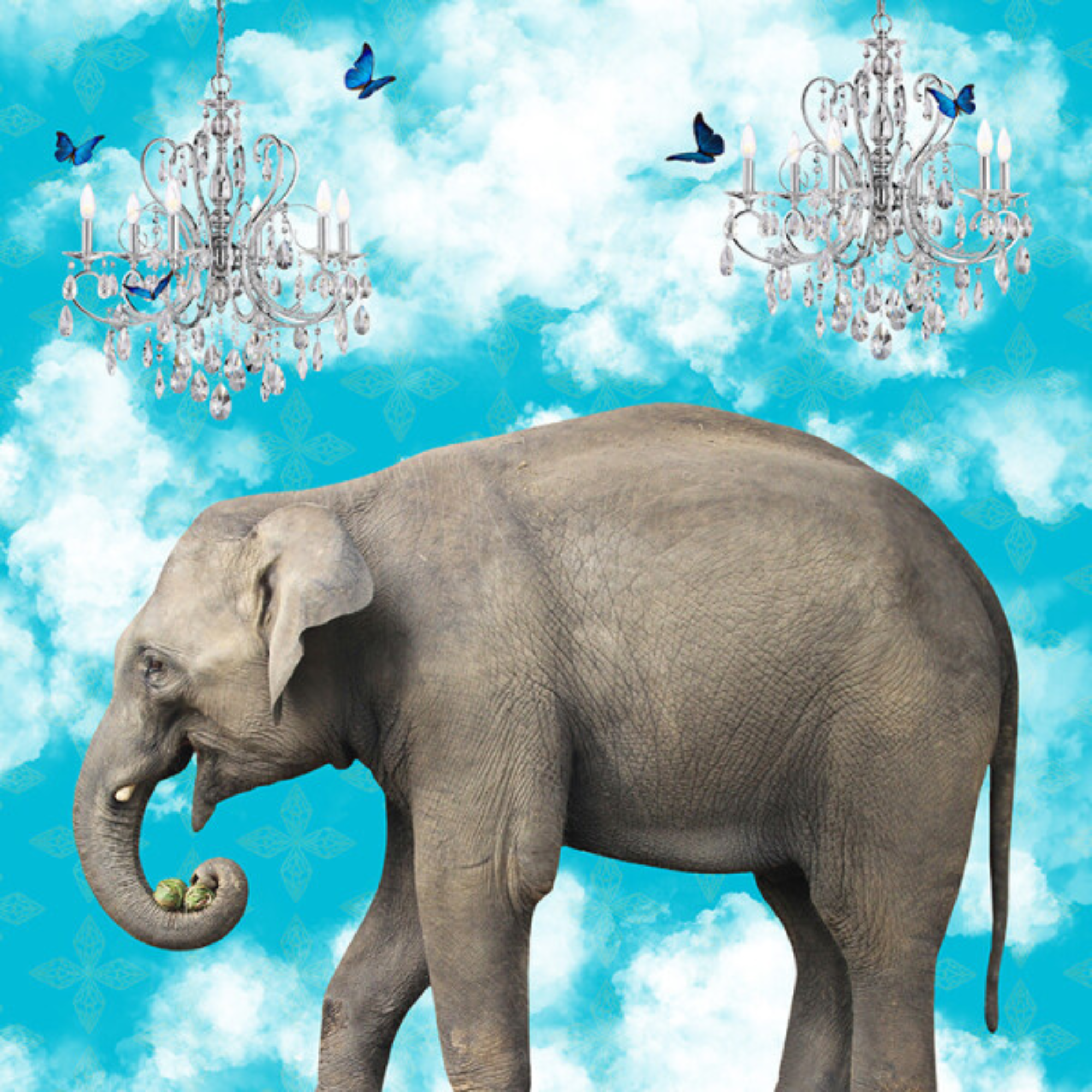 ELEPHANTS IN THE CLOUDS | CANVAS STRETCHED READY TO HANG | SUE SKELLERN | NZ MADE