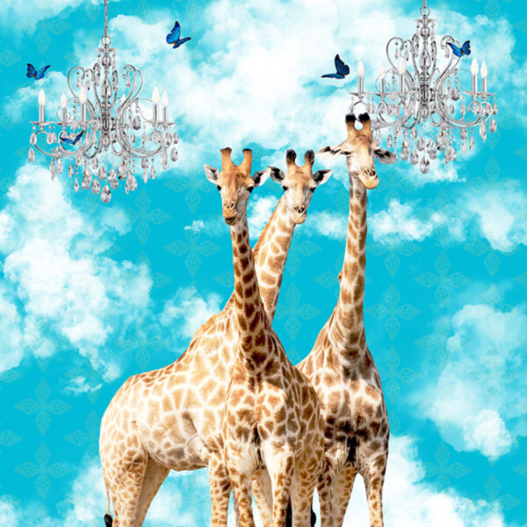 GIRAFFES IN THE CLOUDS | CANVAS STRETCHED READY TO HANG | SUE SKELLERN | NZ MADE