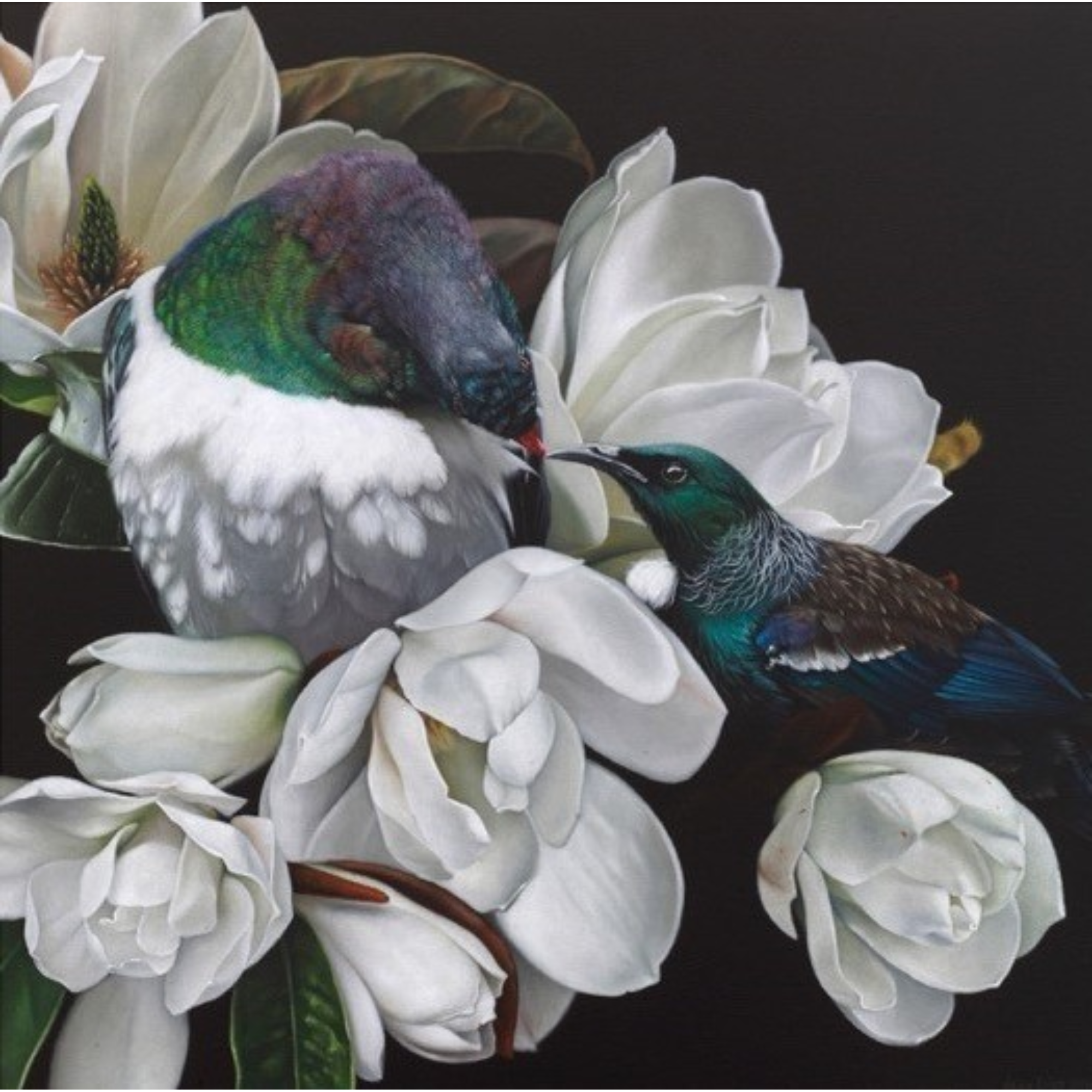 HARMONY | CONTEMPORARY FRAME WITH GLASS | JANE CRISP | NZ MADE