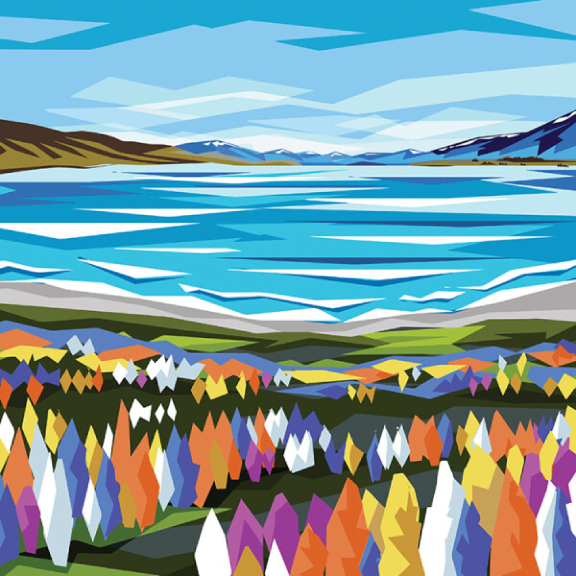 LAKE TEKAPO LUPINS | CANVAS STRETCHED READY TO HANG | IRA MITCHELL | NZ MADE
