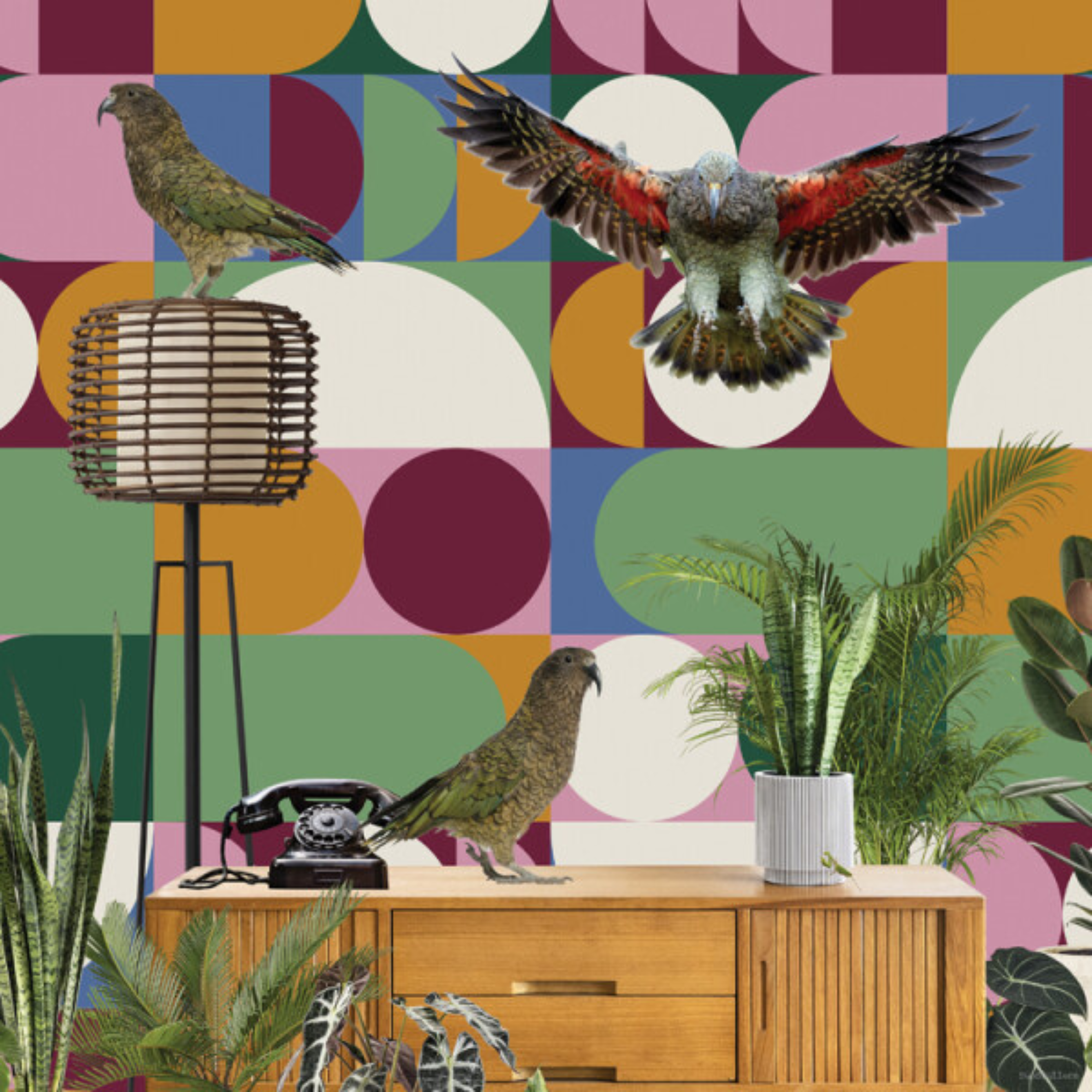 MOVE OVER YOU TWO! | CANVAS STRETCHED READY TO HANG | SUE SKELLERN | NZ MADE