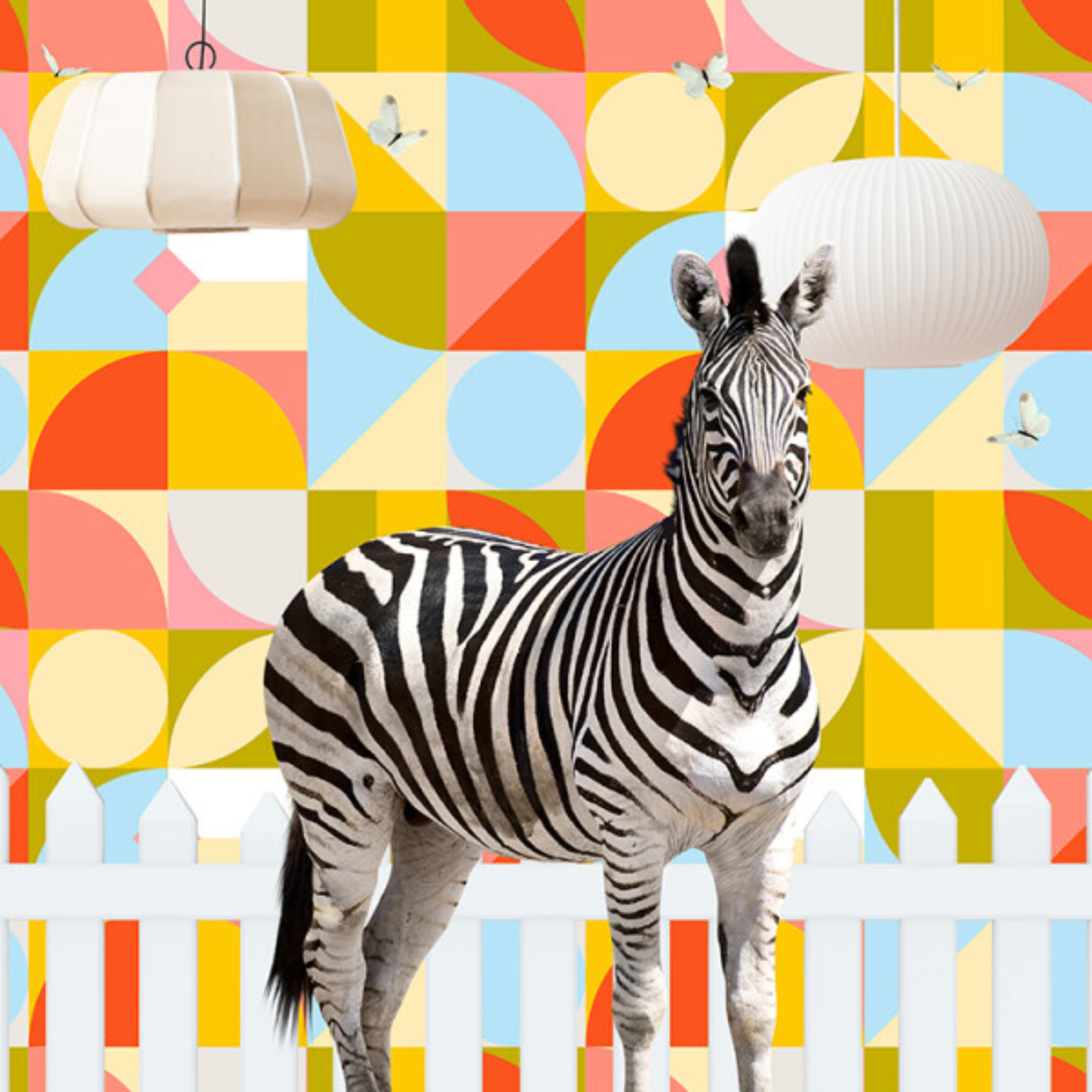 OVER THE FENCE MATE ZEBRA | CANVAS STRETCHED READY TO HANG | SUE SKELLERN | NZ MADE