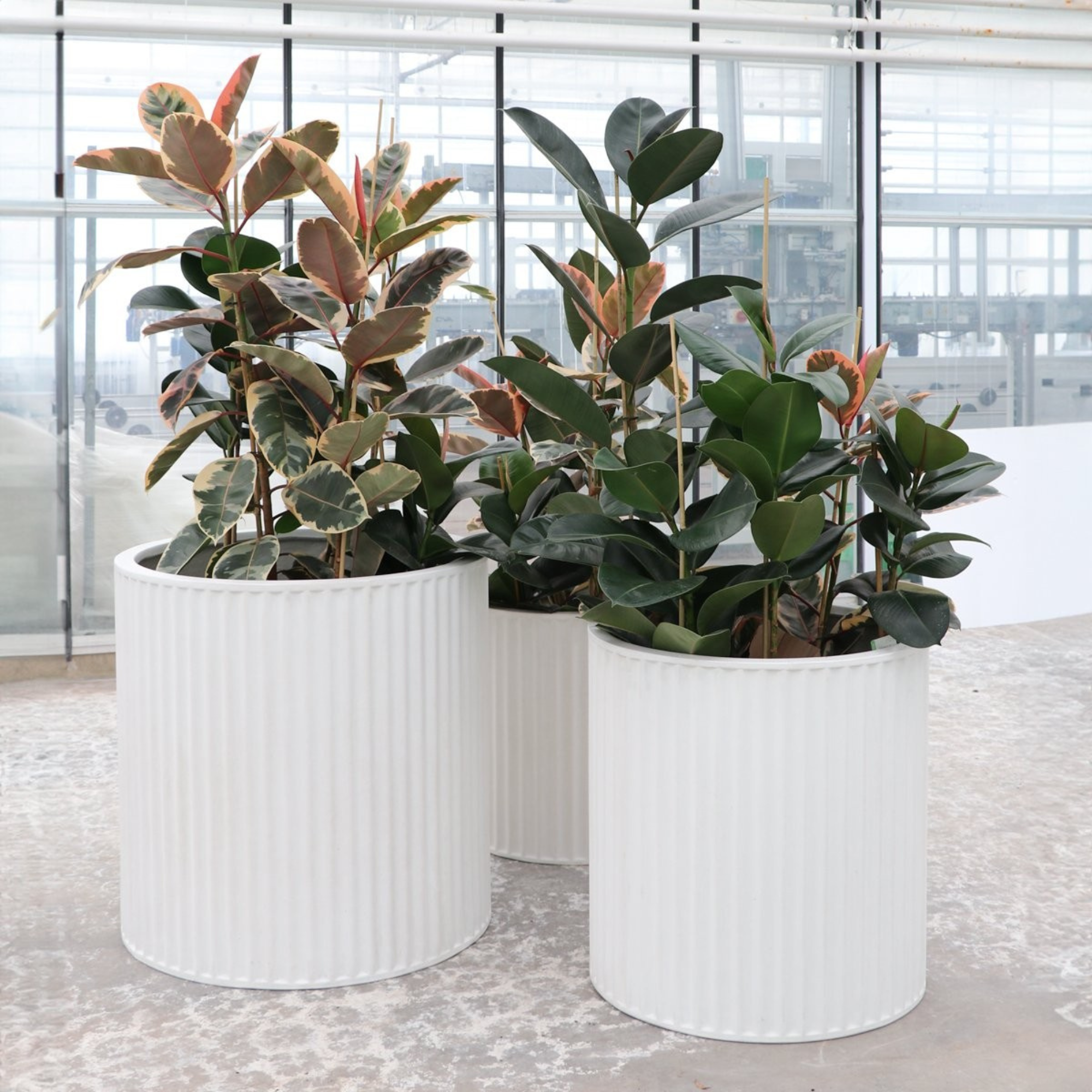 PIAKO RIBBED CYLINDER PLANTER | 3 SIZES | BLACK, WHITE OR WEATHERED CEMENT