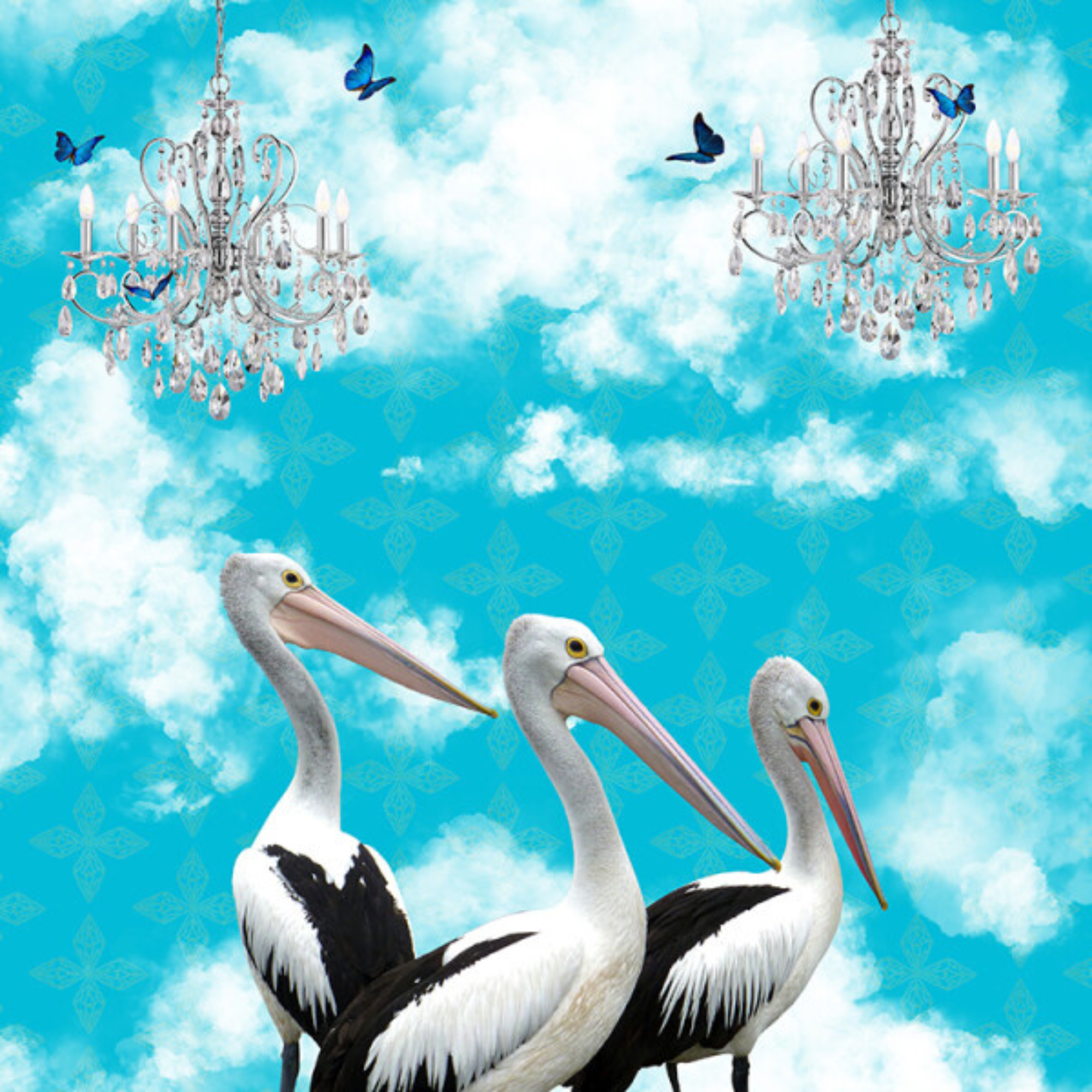 PELICANS IN THE CLOUDS | CANVAS STRETCHED READY TO HANG | SUE SKELLERN | NZ MADE