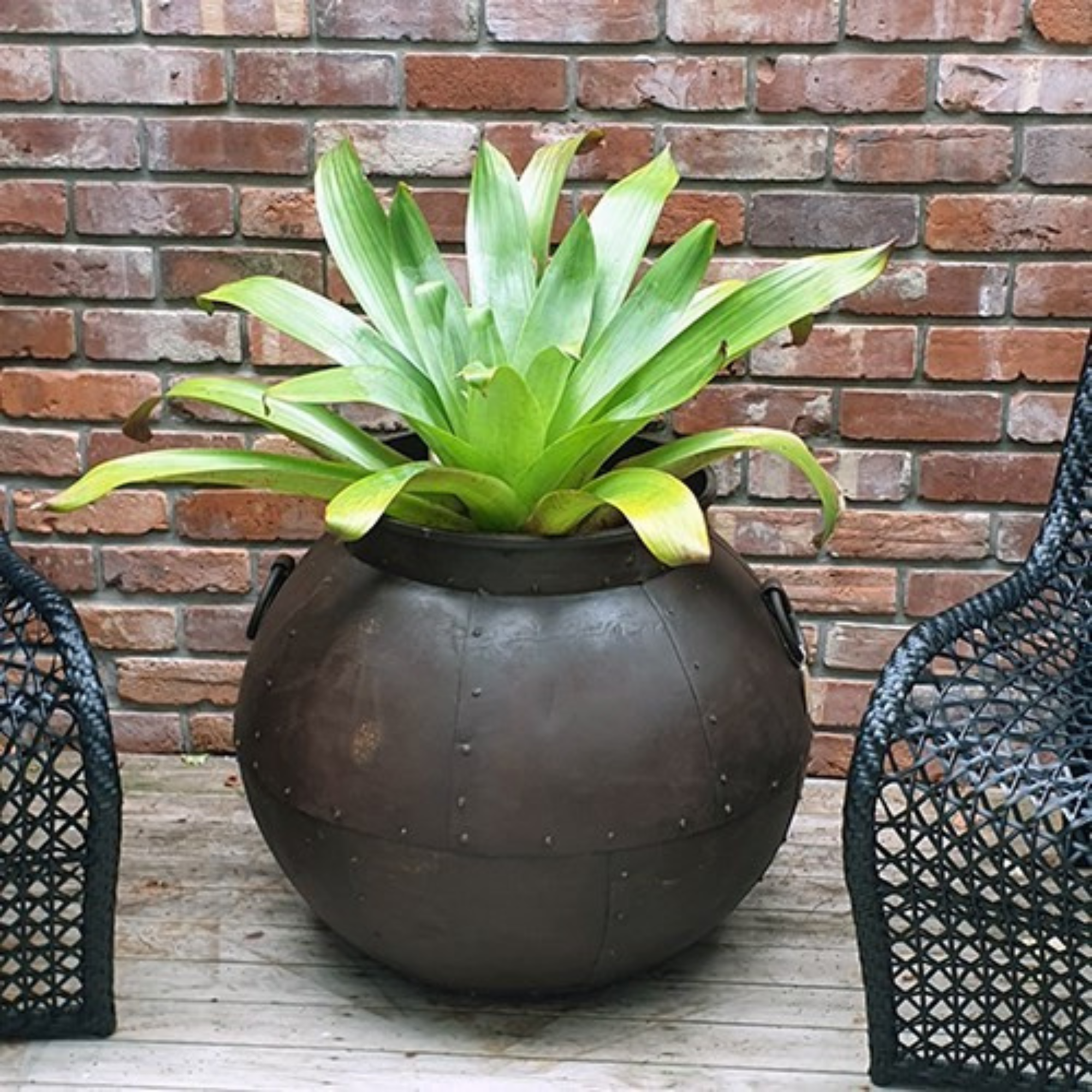 SAHAR ROUND IRON PLANTER | 2 SIZES