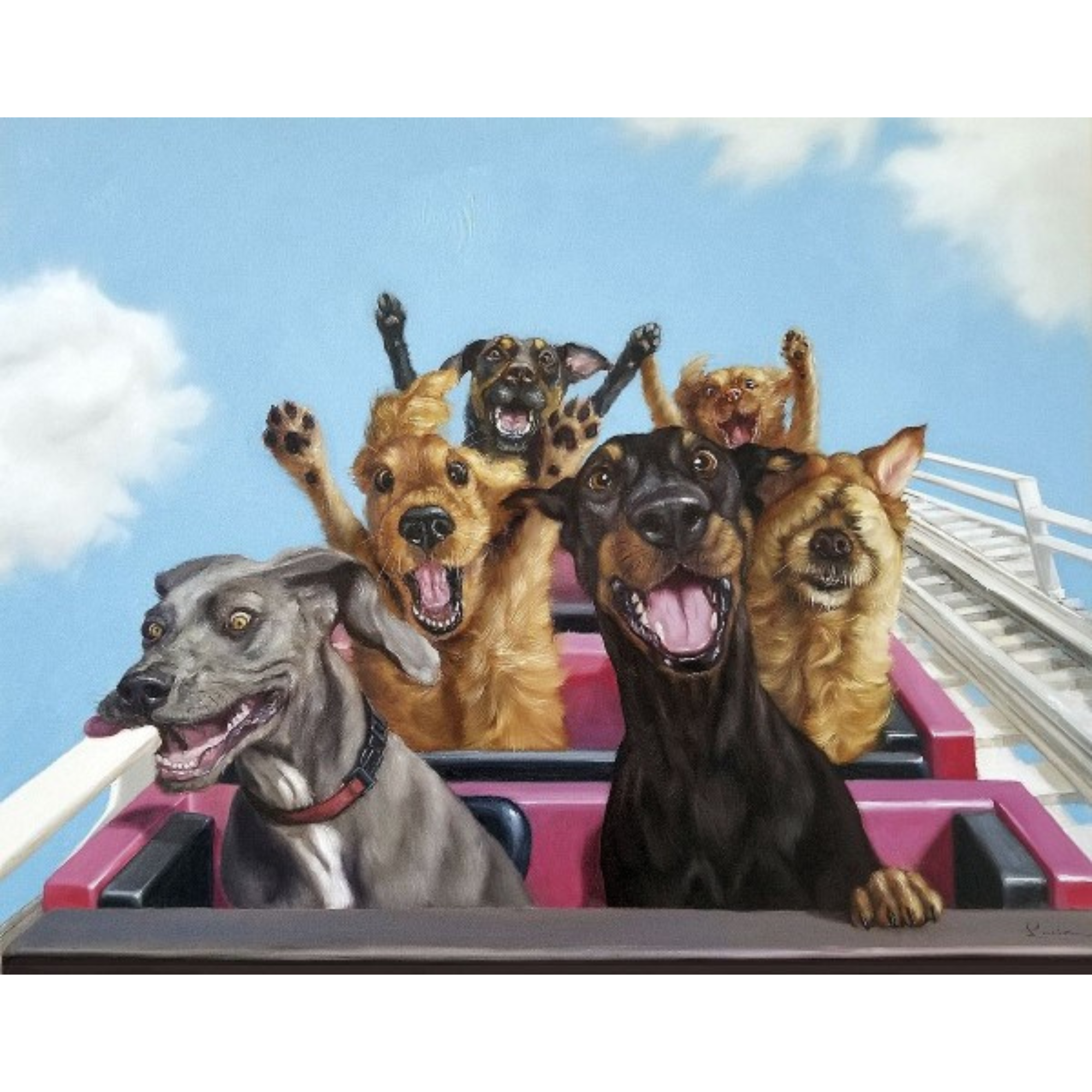 THRILL SEEKERS | CANVAS READY TO HANG | LUCIA HEFFERNAN | NZ MADE