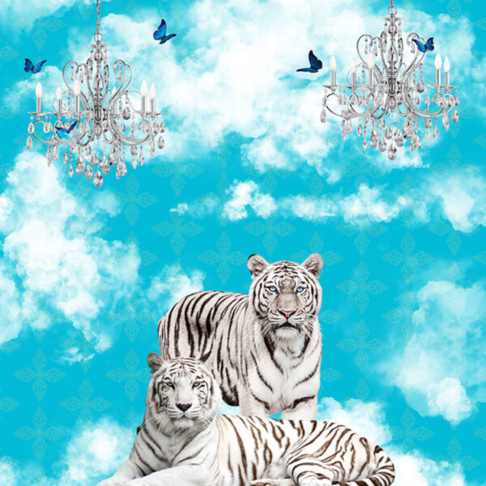 WHITE TIGERS IN THE CLOUDS | CANVAS STRETCHED READY TO HANG | SUE SKELLERN | NZ MADE