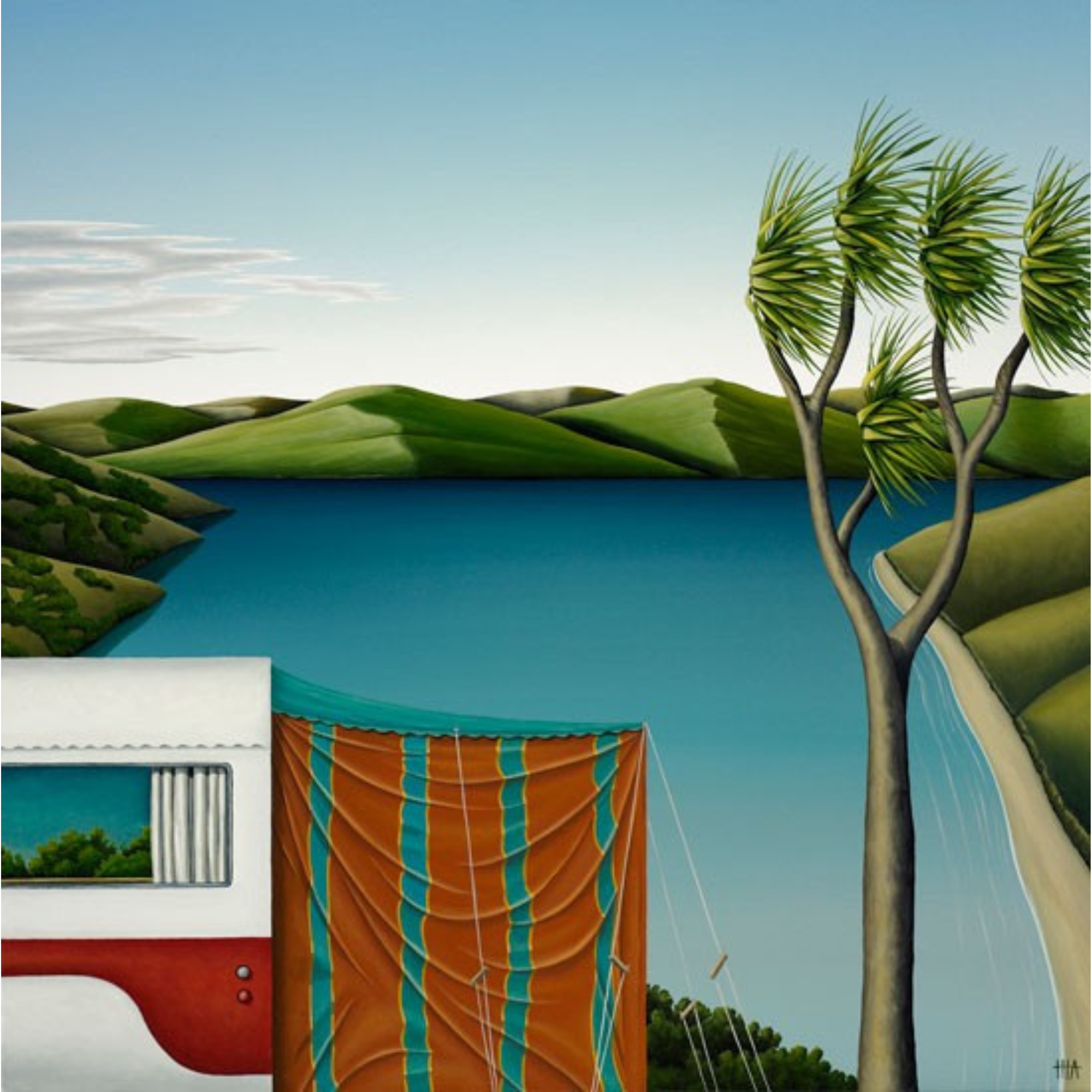 YAWNING | BOX FRAME READY TO HANG | HAMISH ALLAN | NZ MADE