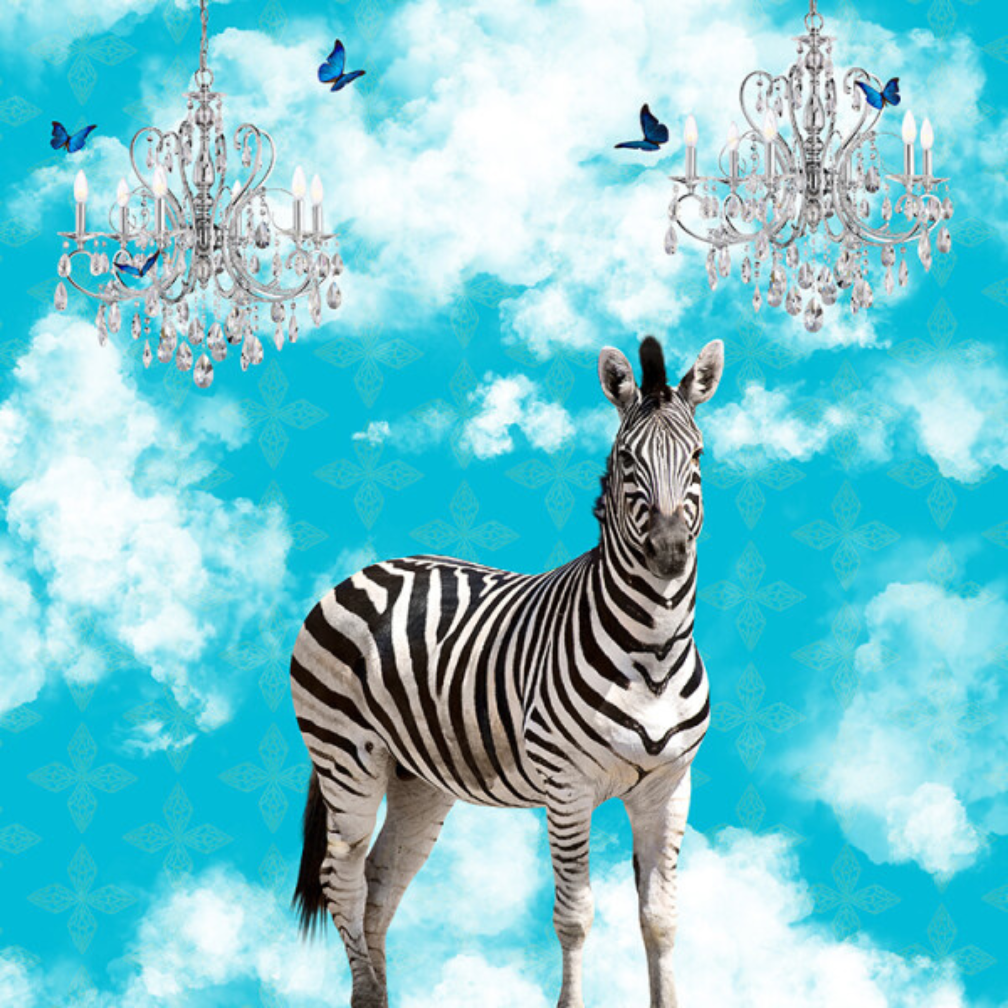ZEBRA IN THE CLOUDS | CANVAS STRETCHED READY TO HANG | SUE SKELLERN | NZ MADE