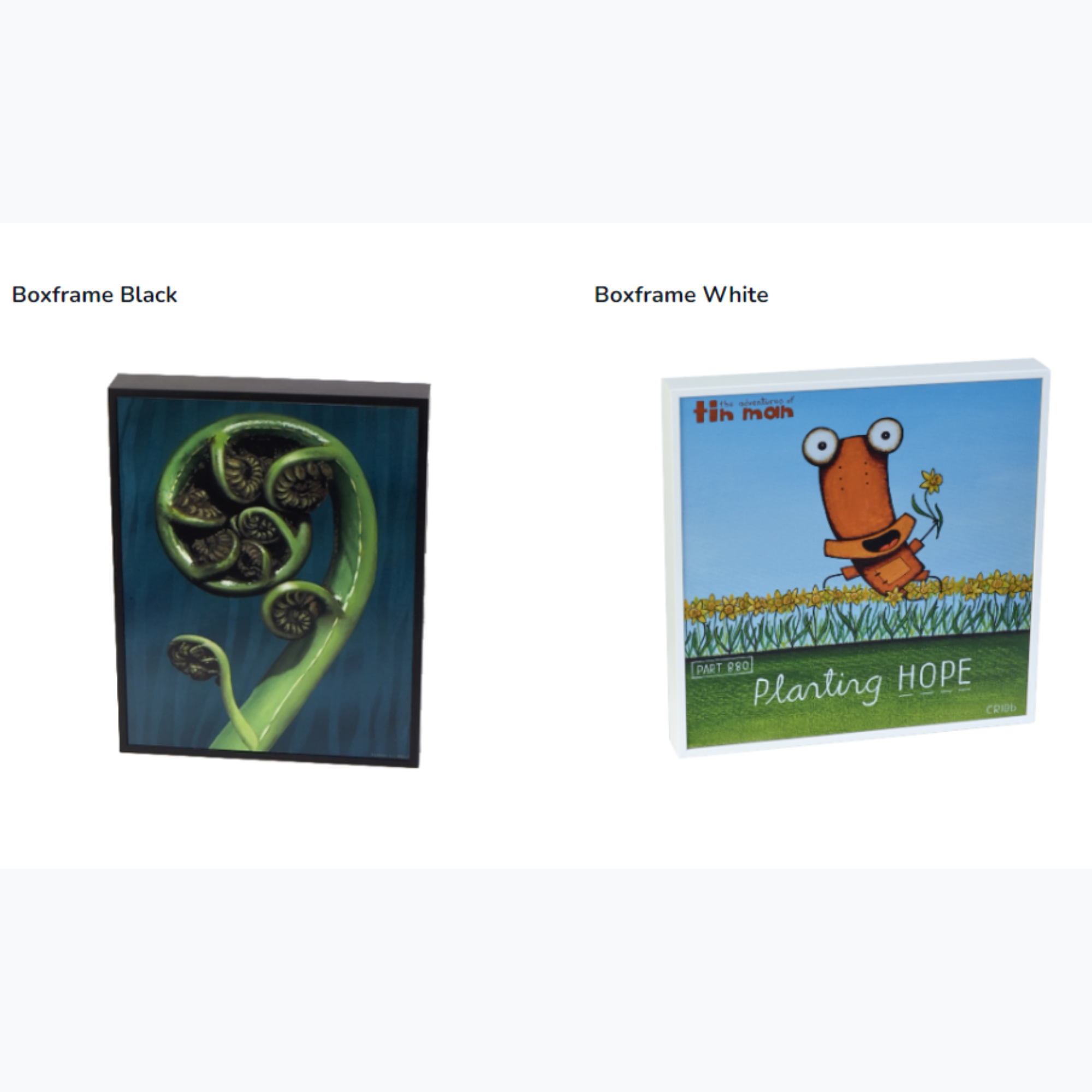PUNKED FISHERS | BOXED FRAME READY TO HANG | MARIE REID-BEADLE | NZ MADE