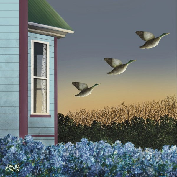 DAWN DEPARTURE | DAVID OWEN | CANVAS READY TO HANG | NZ MADE