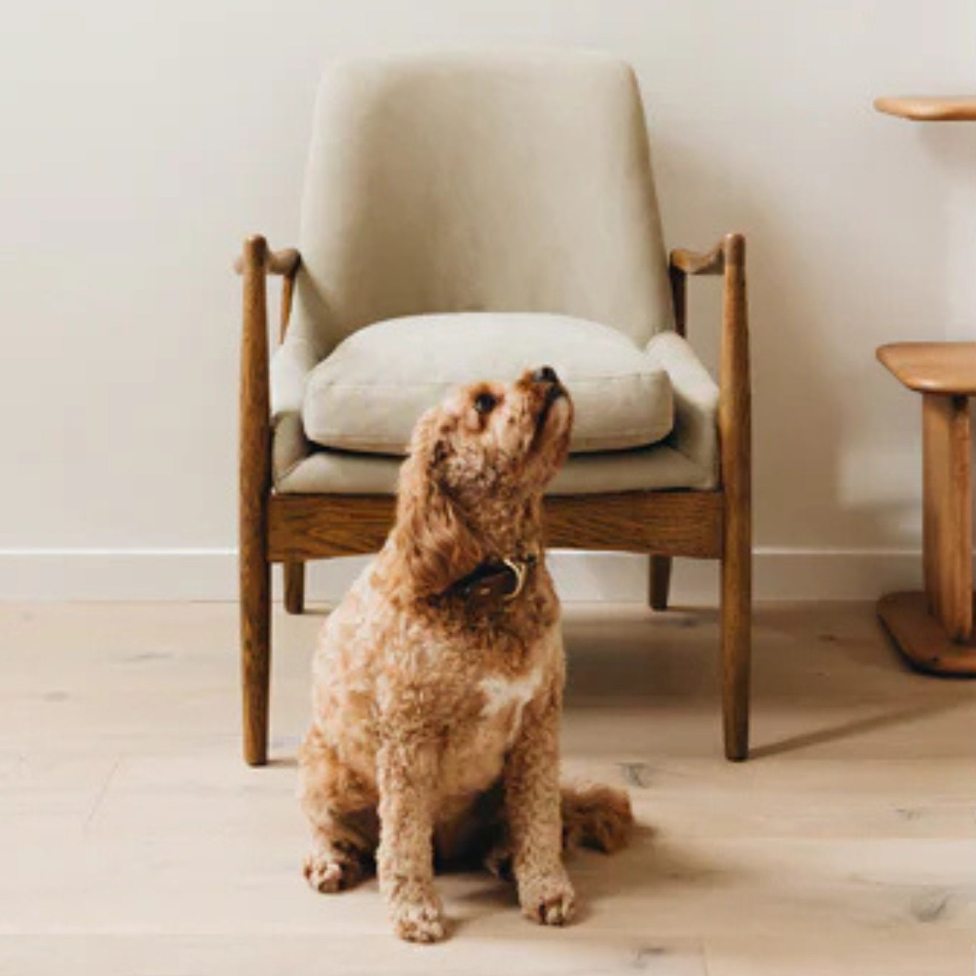BEDROOM CHAIR | Christchurch | The Best Furniture Shop