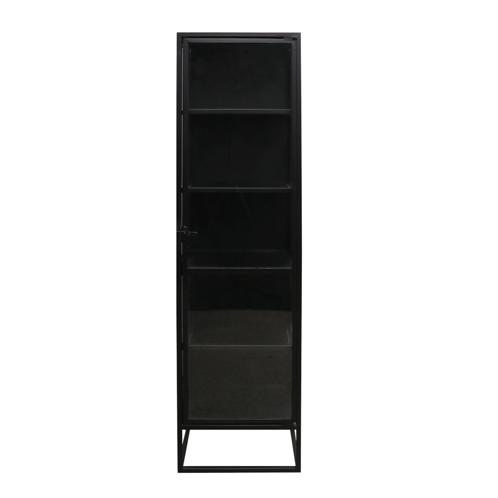 CARSON METAL DISPLAY CABINET | NARROW