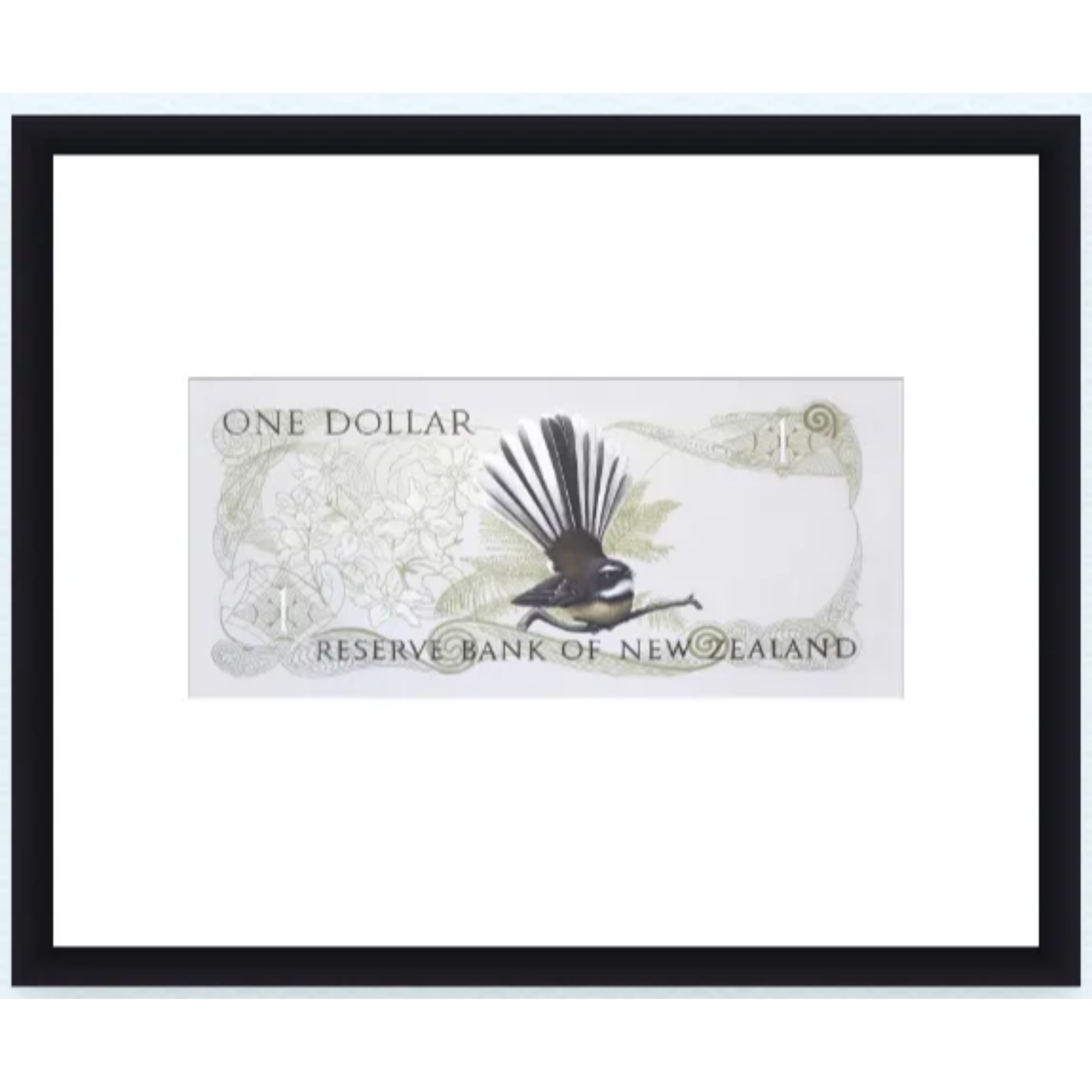 PIWAKAWAKA'S ONE DOLLAR NOTE | CONTEMPORARY FRAME WITH GLASS | JANE CRISP | NZ MADE