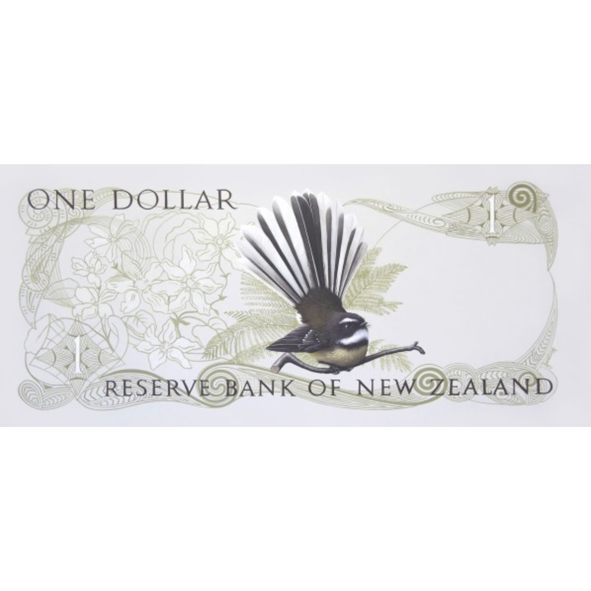 PIWAKAWAKA'S ONE DOLLAR NOTE | CONTEMPORARY FRAME WITH GLASS | JANE CRISP | NZ MADE