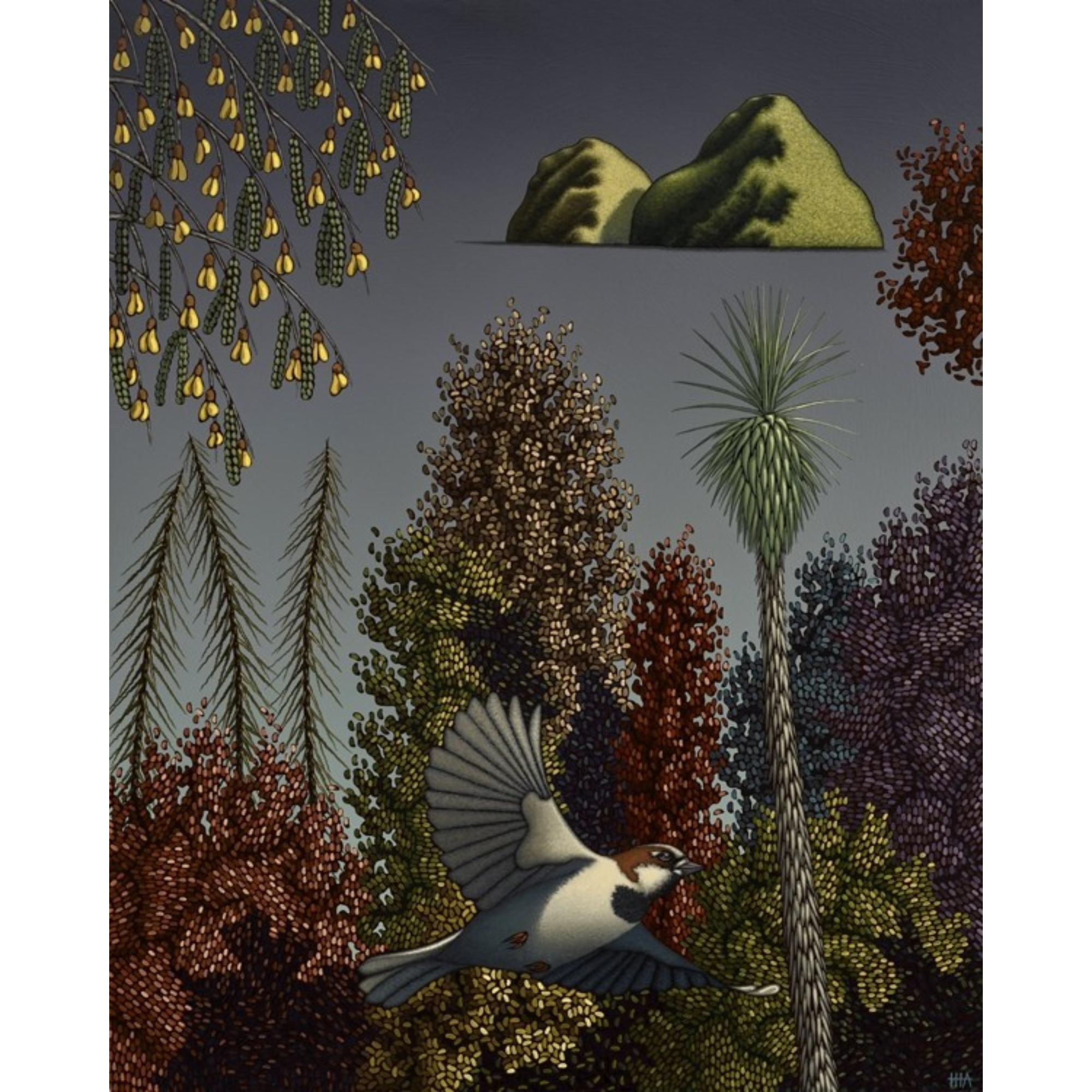 ROUSSEAU'S SPARROW AND THE PLEASURE GARDEN | BOX FRAME READY TO HANG | HAMISH ALLAN | NZ MADE