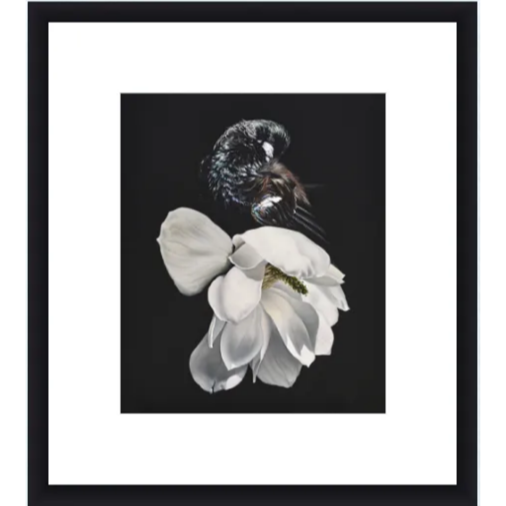 AMORE | CONTEMPORARY FRAME WITH GLASS | JANE CRISP | NZ MADE