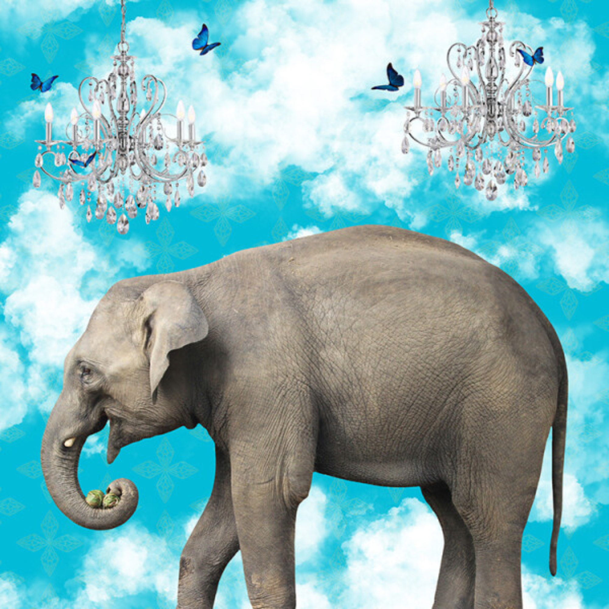 ELEPHANTS IN THE CLOUDS | CANVAS STRETCHED READY TO HANG | SUE SKELLERN  | NZ MADE