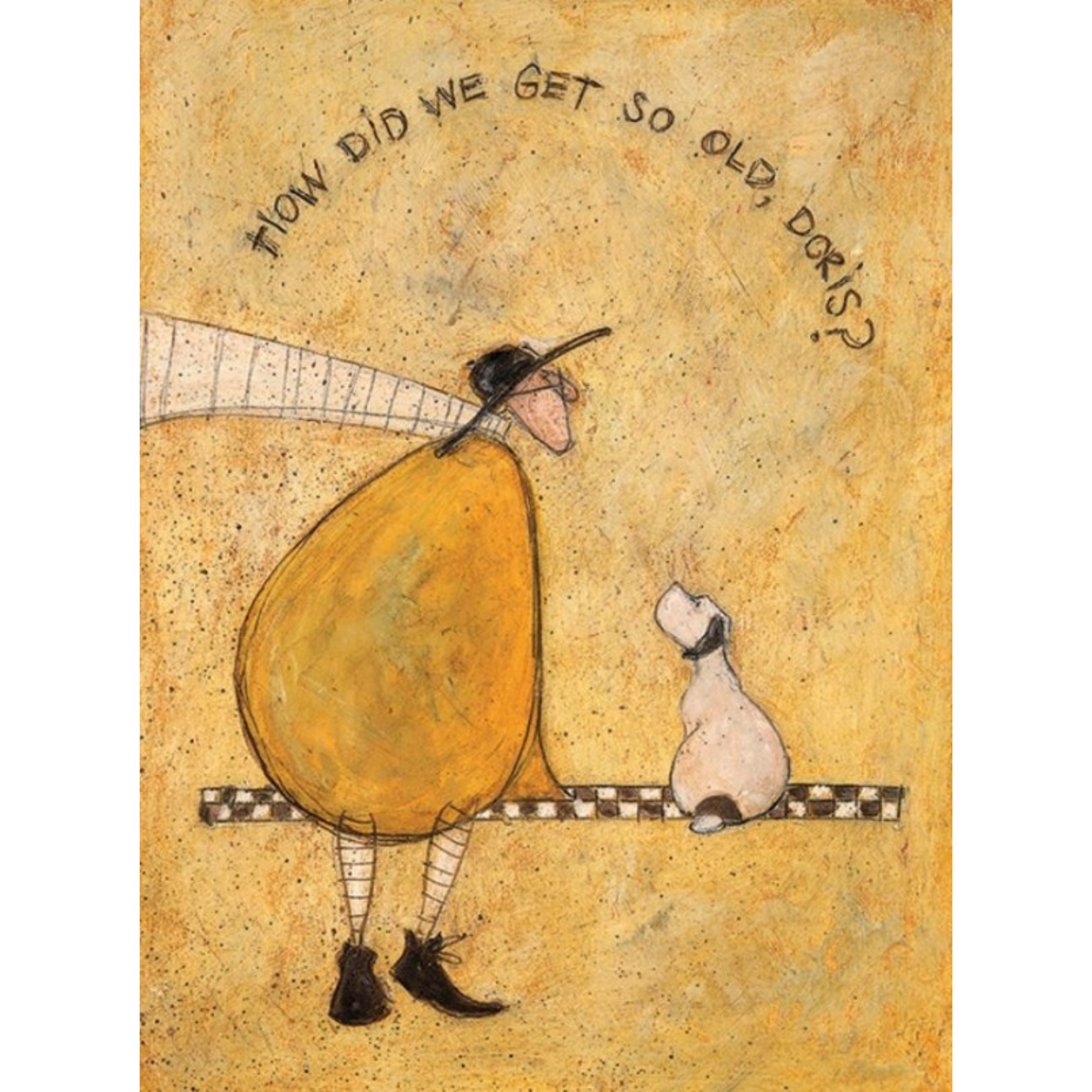 HOW DID WE GET SO OLD DORIS? | BOX FRAME READY TO HANG | SAM TOFT | NZ MADE