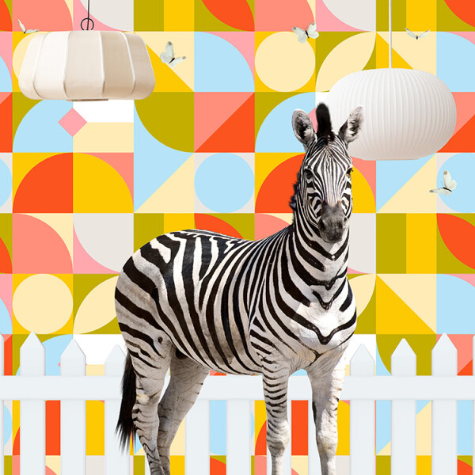 OVER THE FENCE MATE ZEBRA | CANVAS STRETCHED READY TO HANG | SUE SKELLERN  | NZ MADE