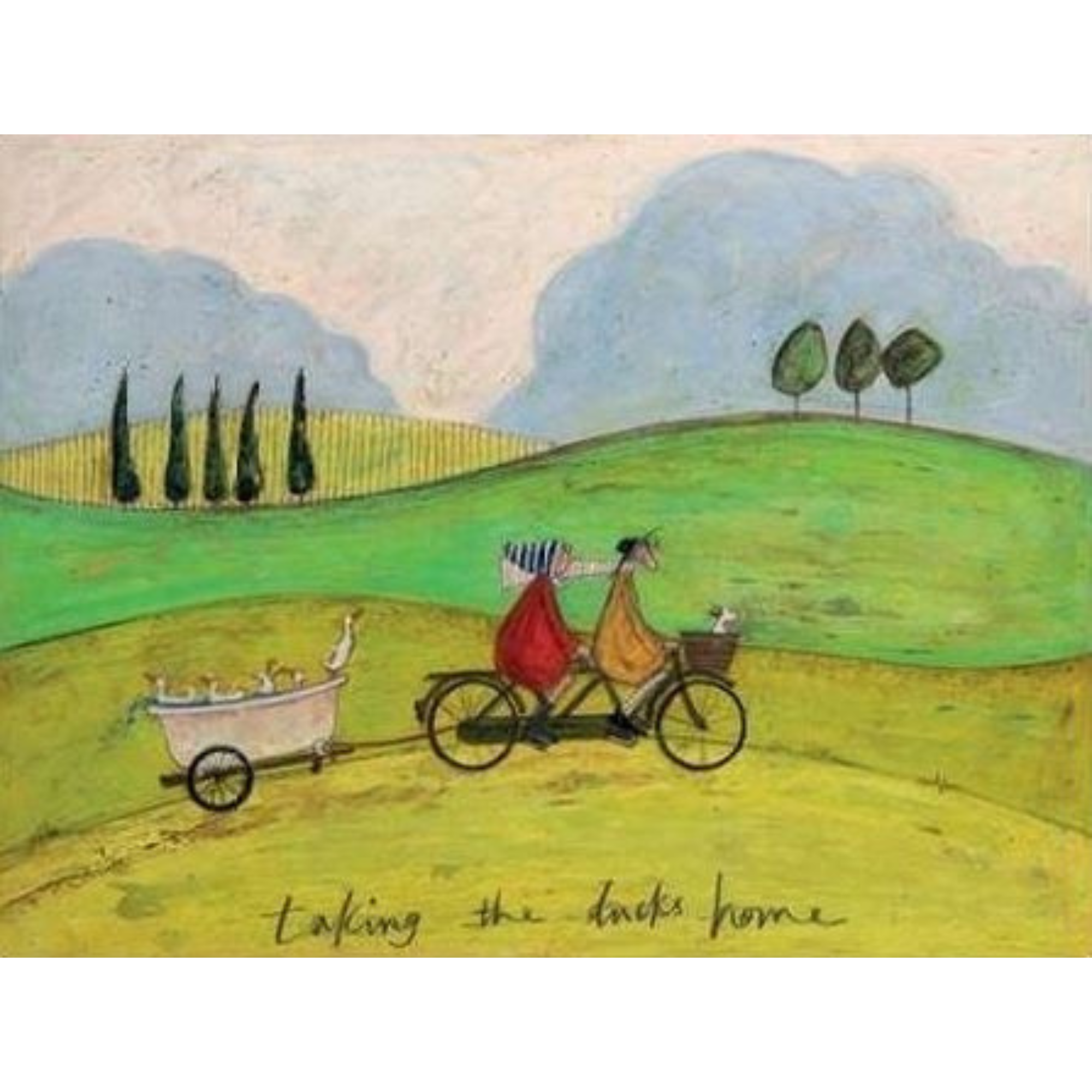 TAKING THE DUCKS HOME | BOX FRAME READY TO HANG | SAM TOFT | NZ MADE