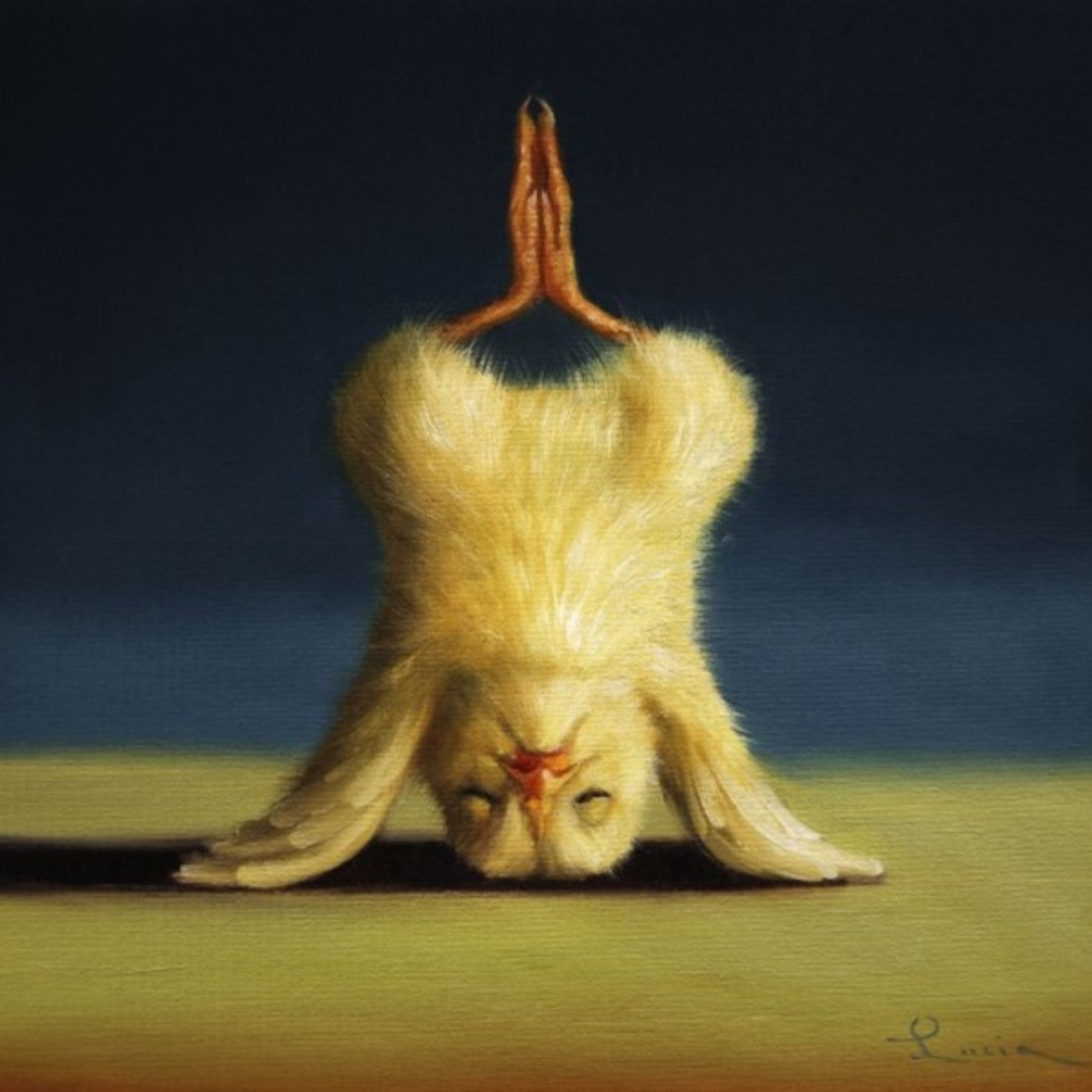 YOGA CHICK LOTUS HEADSTAND | CANVAS READY TO HANG | LUCIA HEFFERNAN | NZ MADE