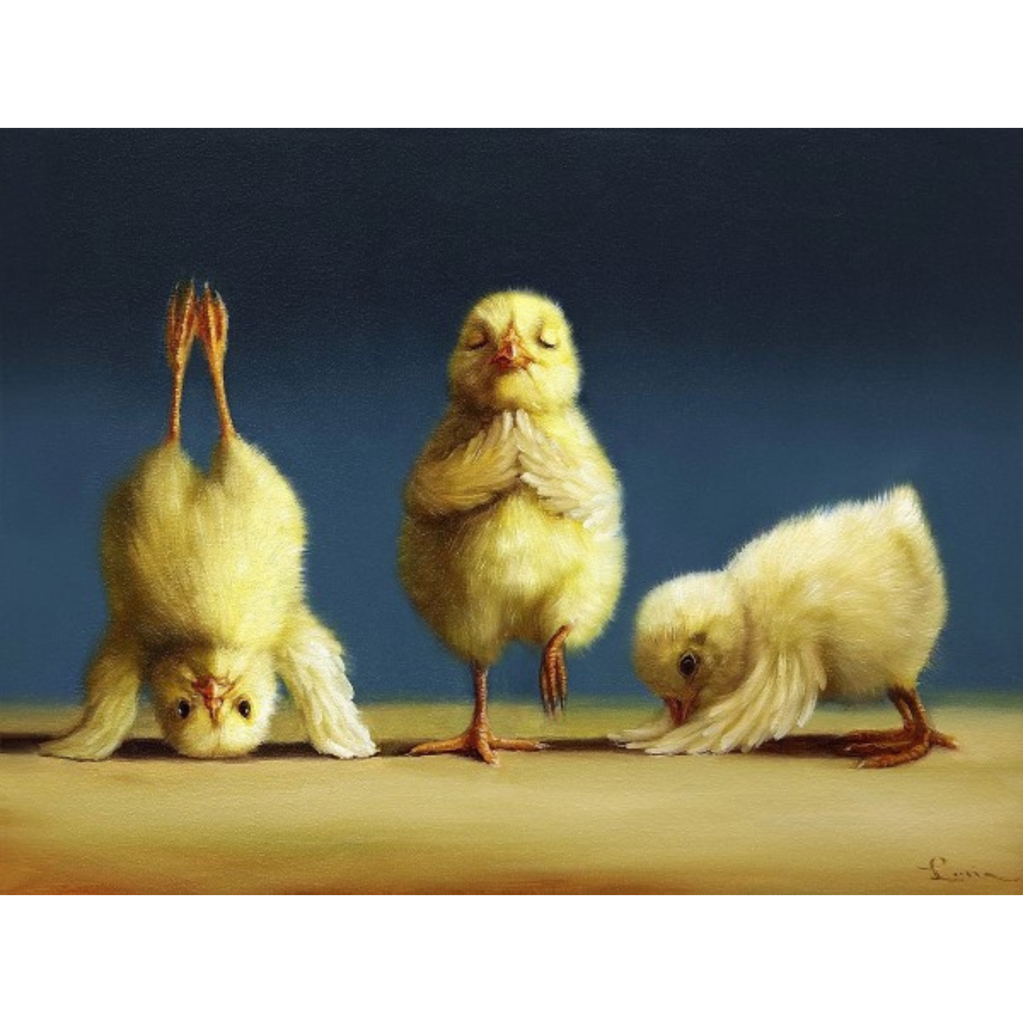 YOGA CHICKS | CANVAS READY TO HANG | LUCIA HEFFERNAN | NZ MADE