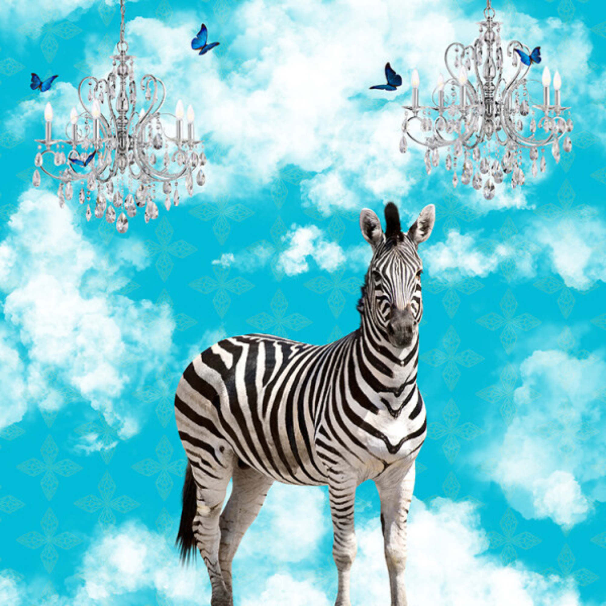 ZEBRA IN THE CLOUDS | CANVAS STRETCHED READY TO HANG | SUE SKELLERN  | NZ MADE